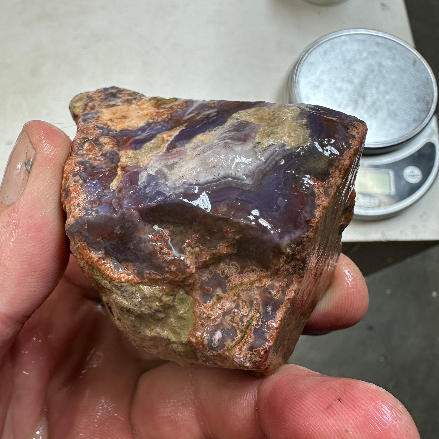 PURPLE PASSION AGATE Rough - 0.65 Pounds