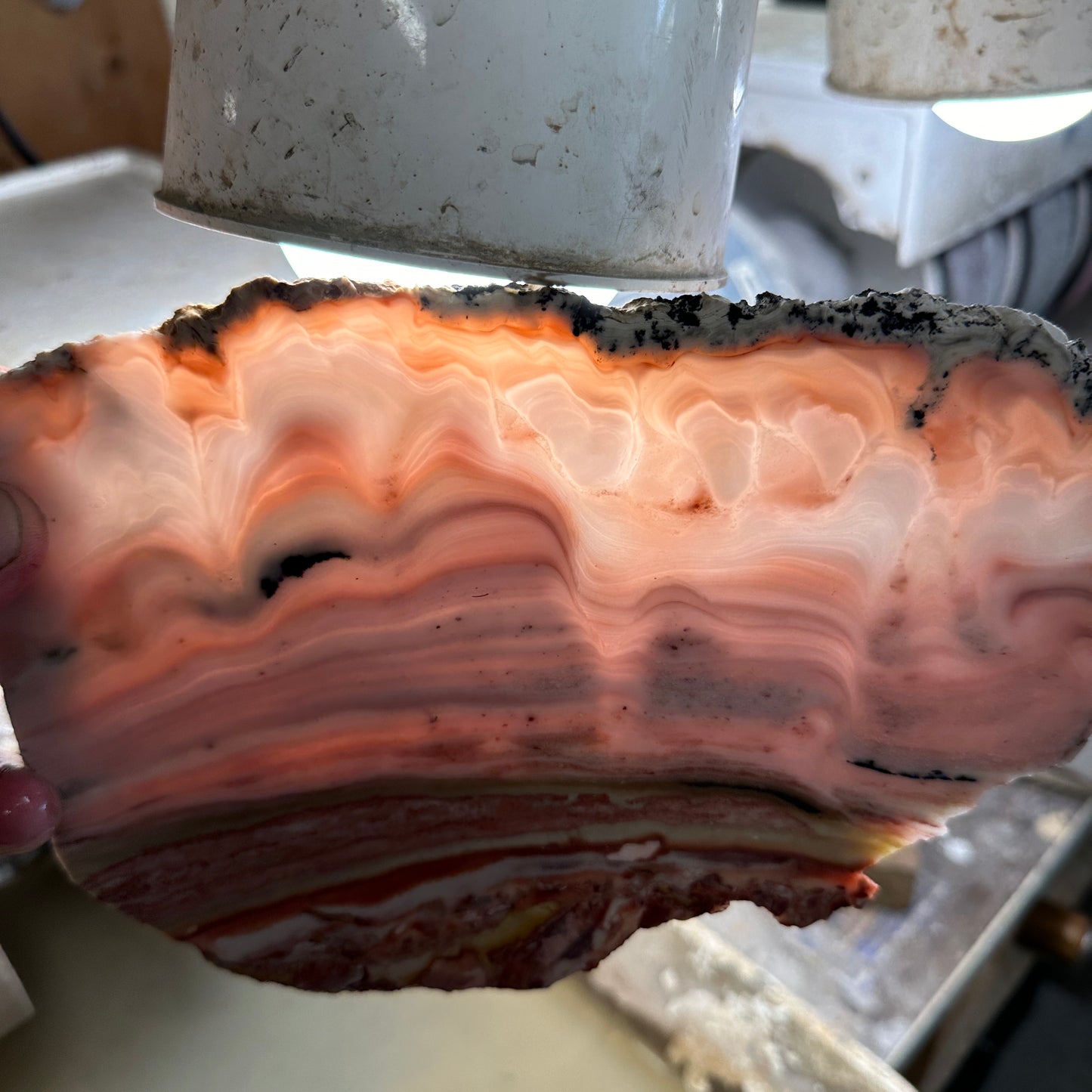 WINDY MOUNTAIN AGATE Slab - 398 grams