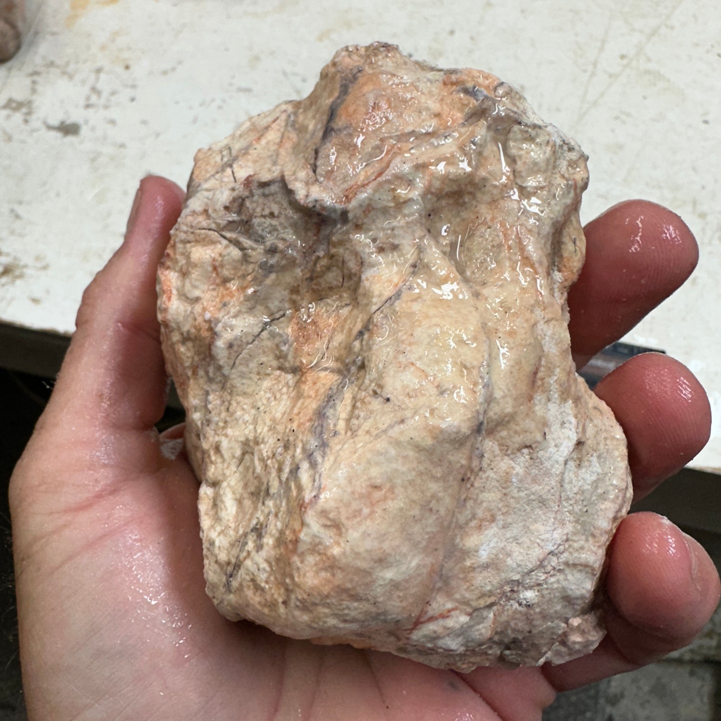 TIFFANY STONE Rough - 1.89 Pounds