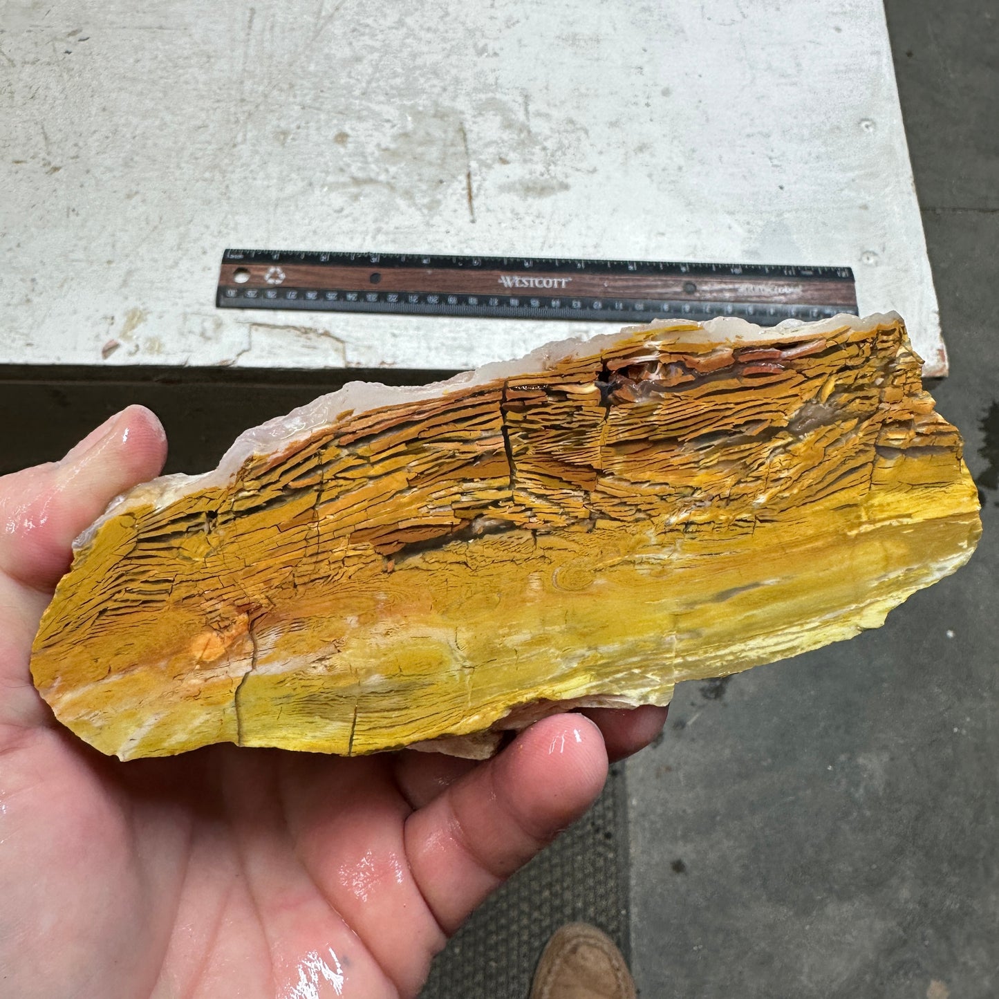 GOLDEN HOWARDITE Faced Rough - 2.58 Pounds