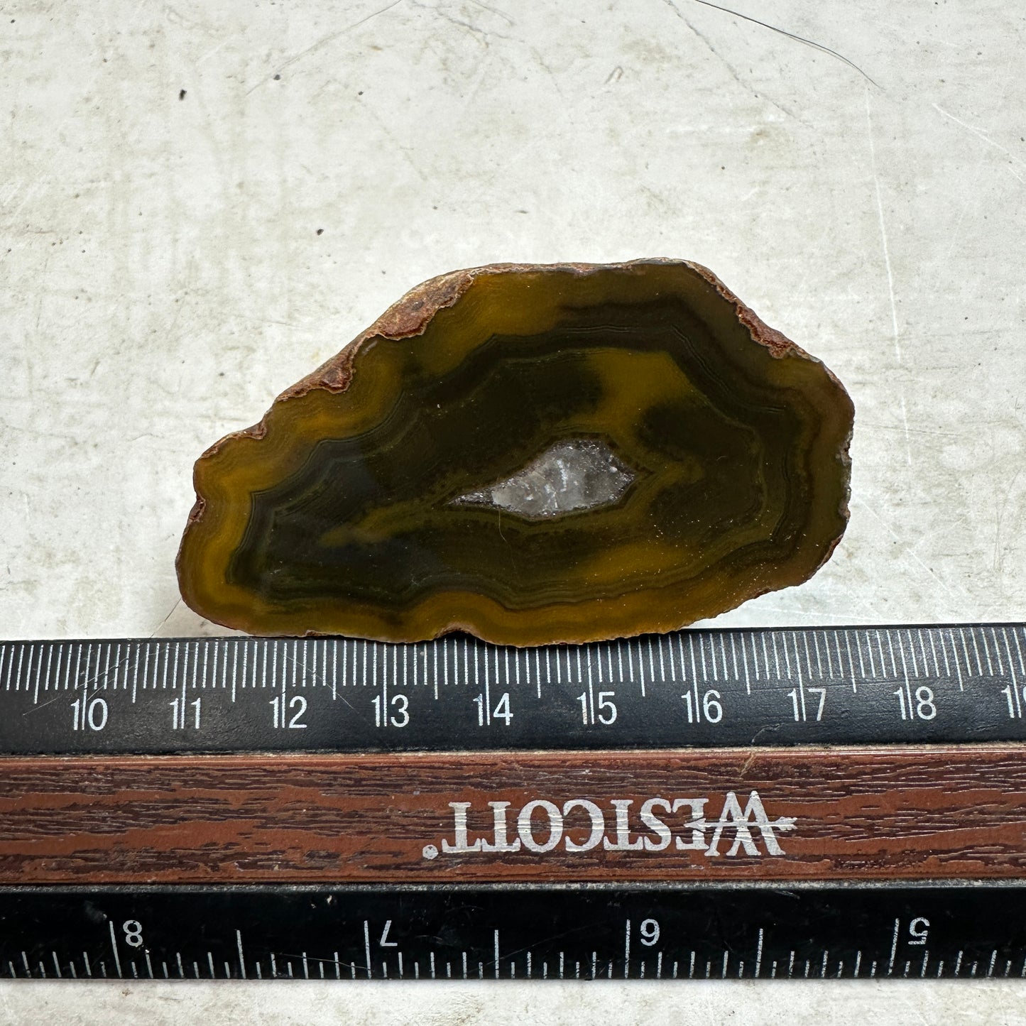 CONDOR AGATE Polished Specimen