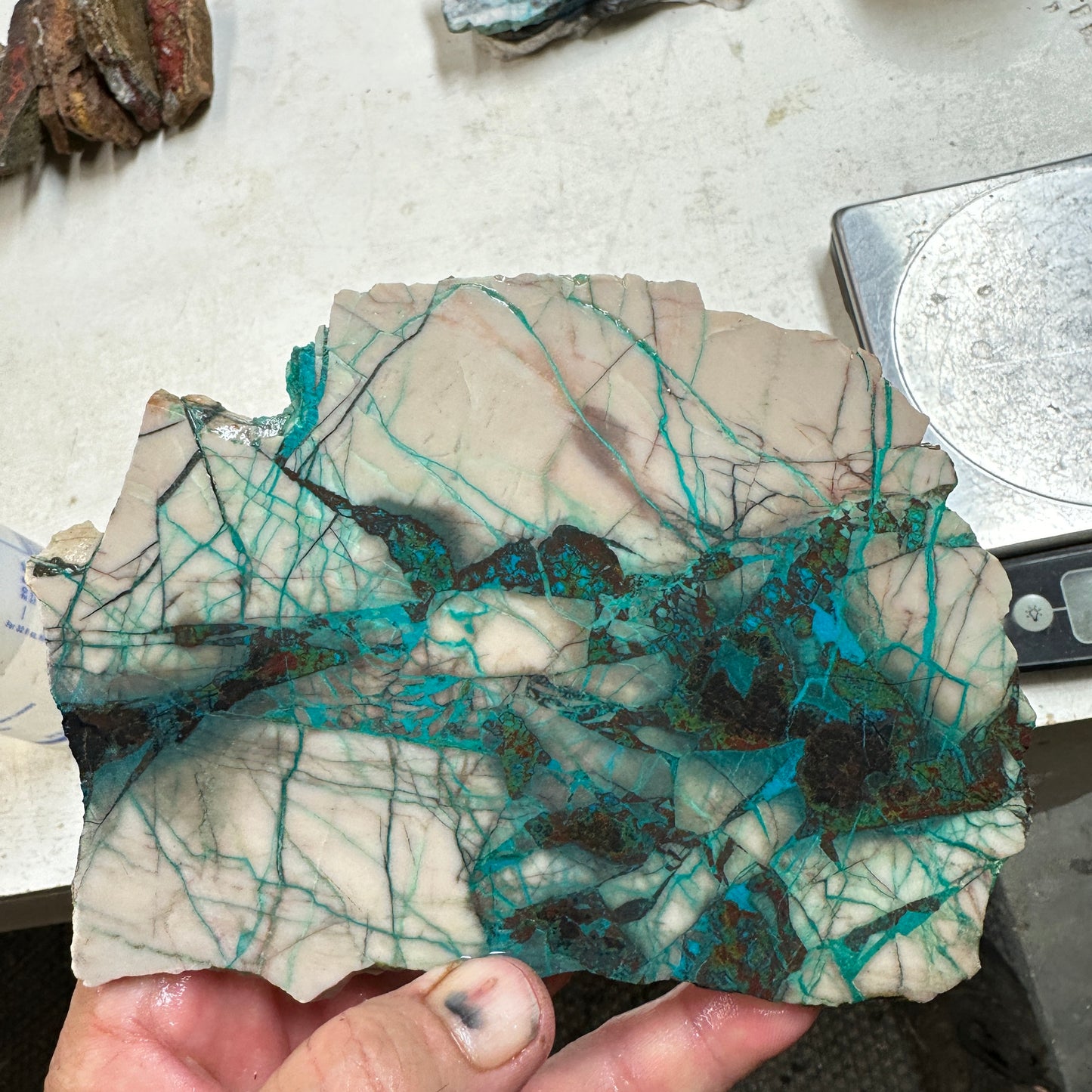 BLUE LIGHTNING CHRYSOCOLLA Slab - 341 grams