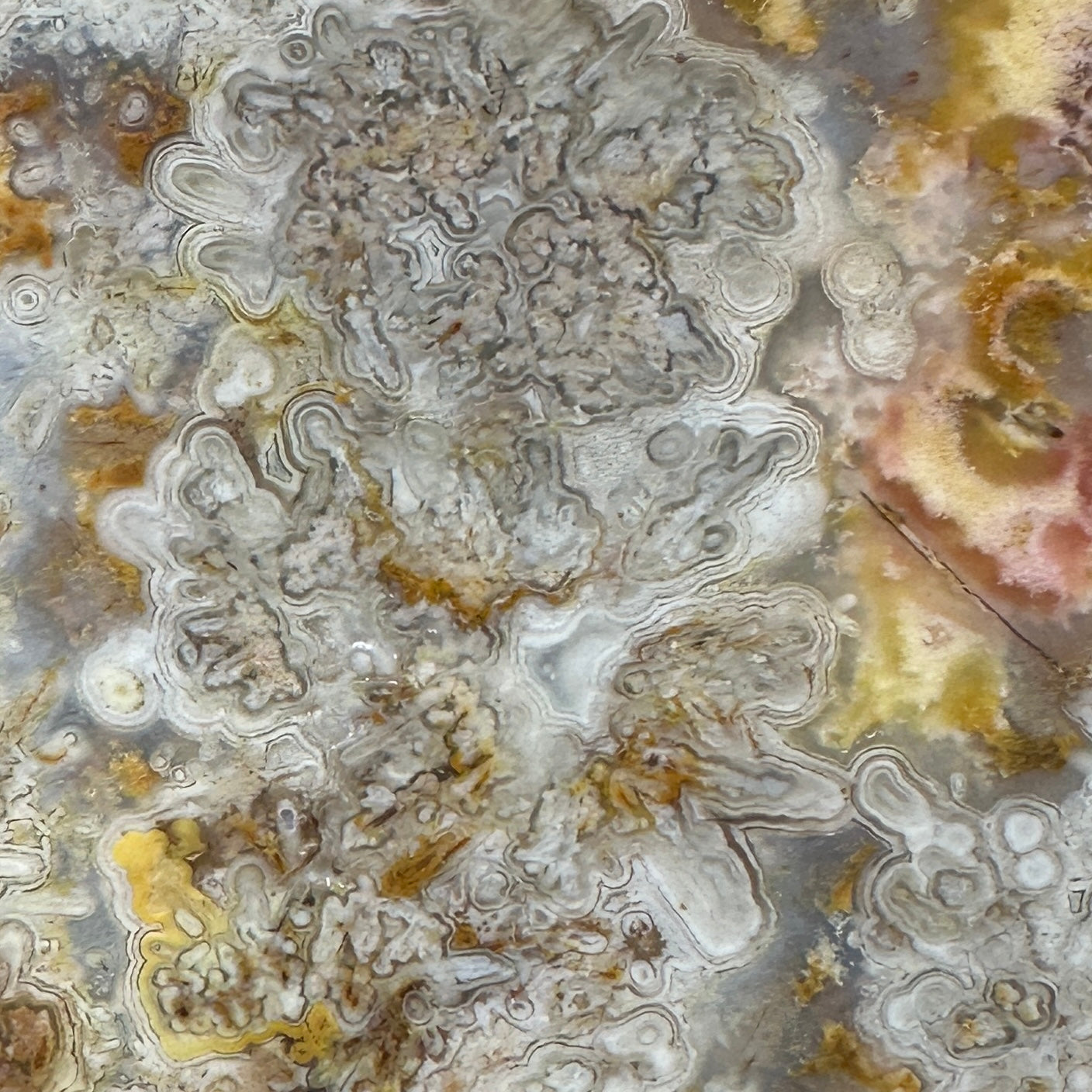 CRAZY LACE AGATE Slab - 169 grams