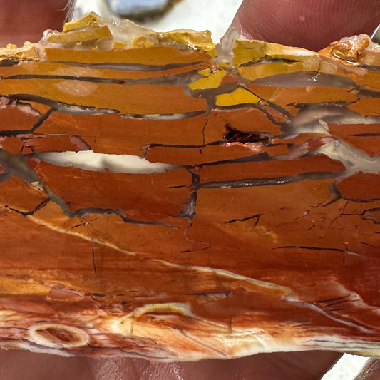 SUNSET HOWARDITE Slab - 56 grams