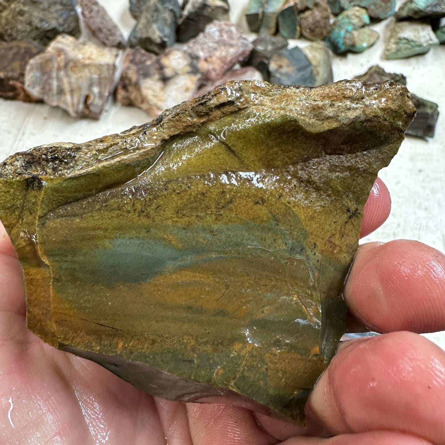 Orbed ECHO RIDGE JASPER Rough - 1.17 Pounds