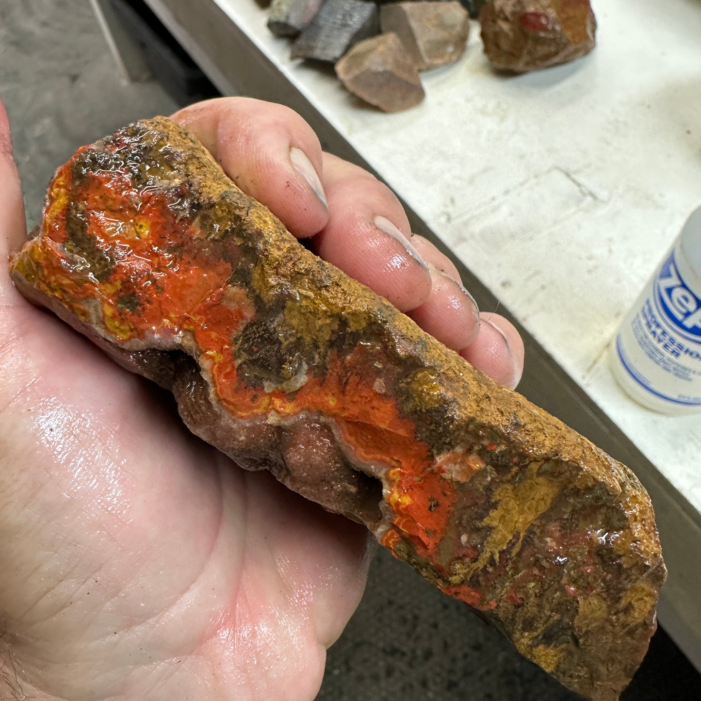 MOROCCAN SEAM AGATE Faced Rough - 1.39 Pounds