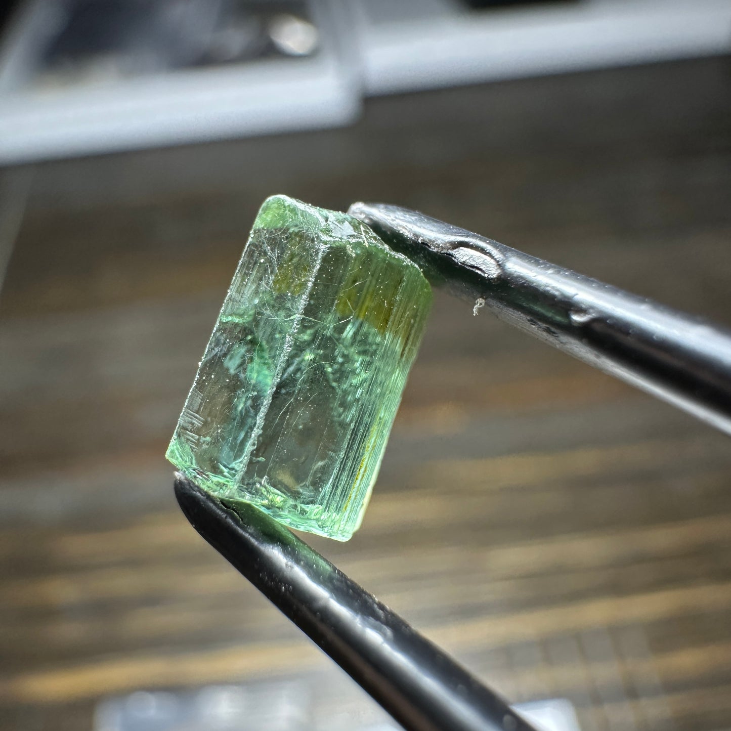CONGO TOURMALINE 5pcs., 2.62g Facet Rough Parcel