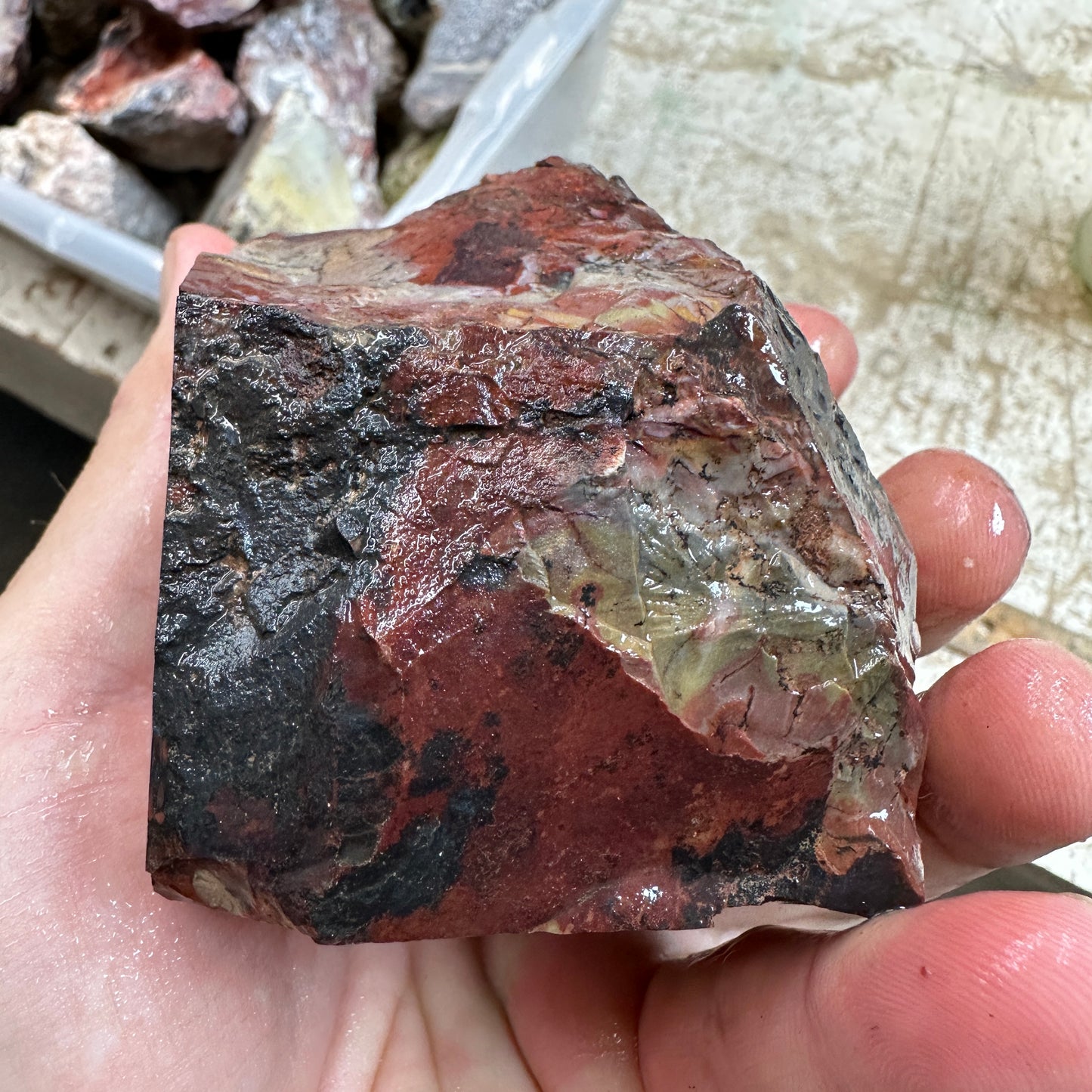 MESCALERO JASPER Faced Rough - 1.58 Pounds