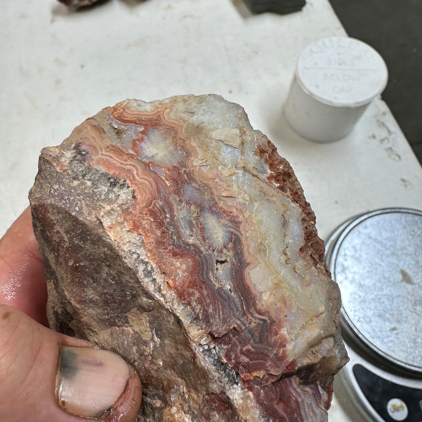 CRAZY LACE AGATE Rough - 1.17 Pounds