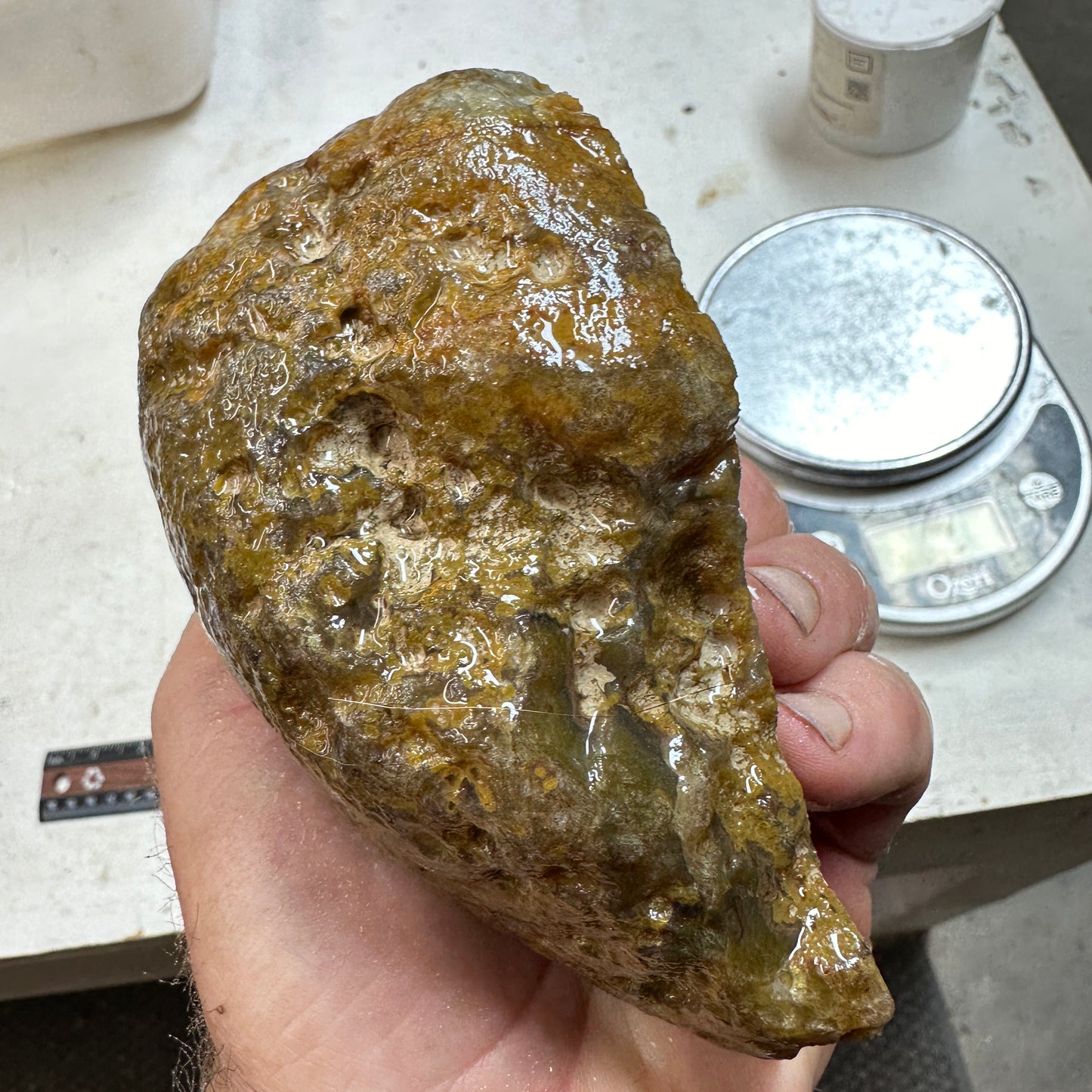 EAST TIMOR AGATE Faced Rough - 1.75 Pounds