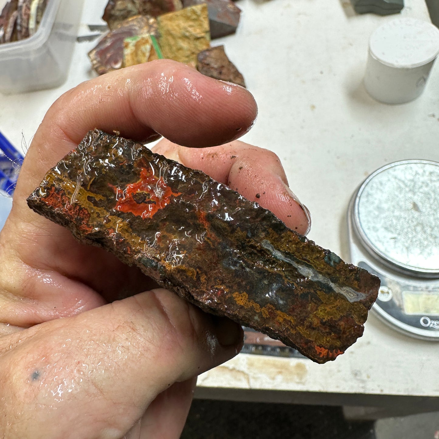 MOROCCAN SEAM AGATE Faced Rough - 0.88 Pounds