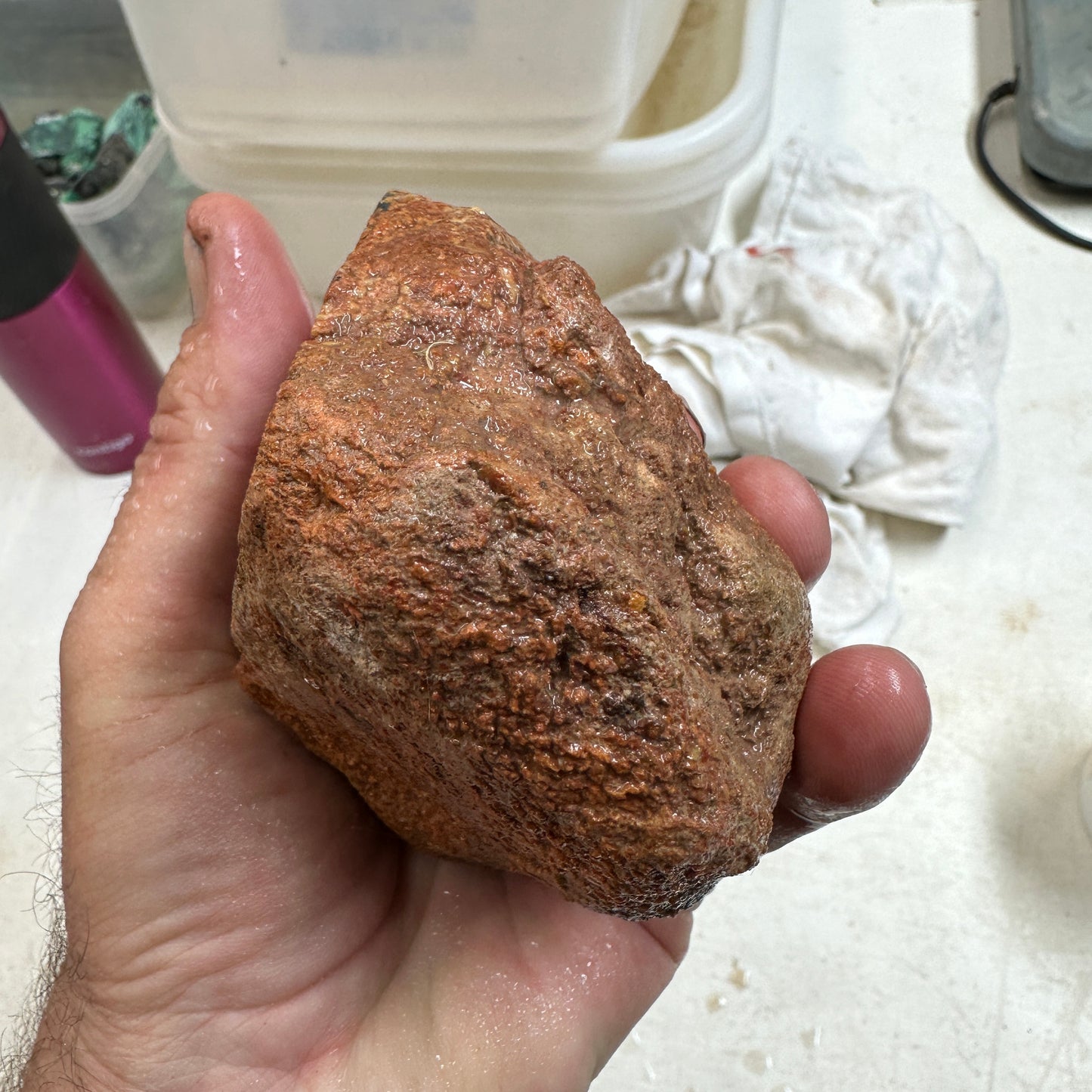 GEMBONE Dinosaur Bone Faced Rough - 1.49 Pounds