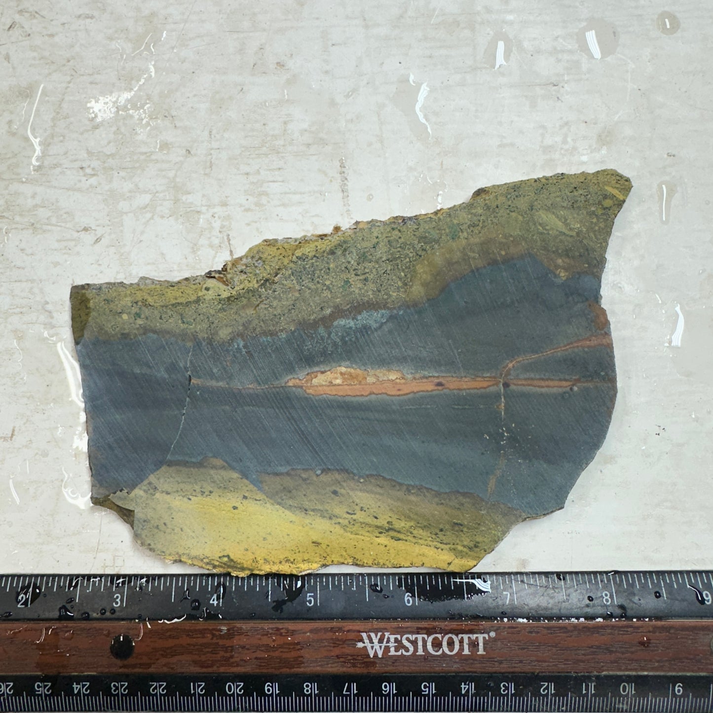 ECHO RIDGE JASPER Slab - 200 grams