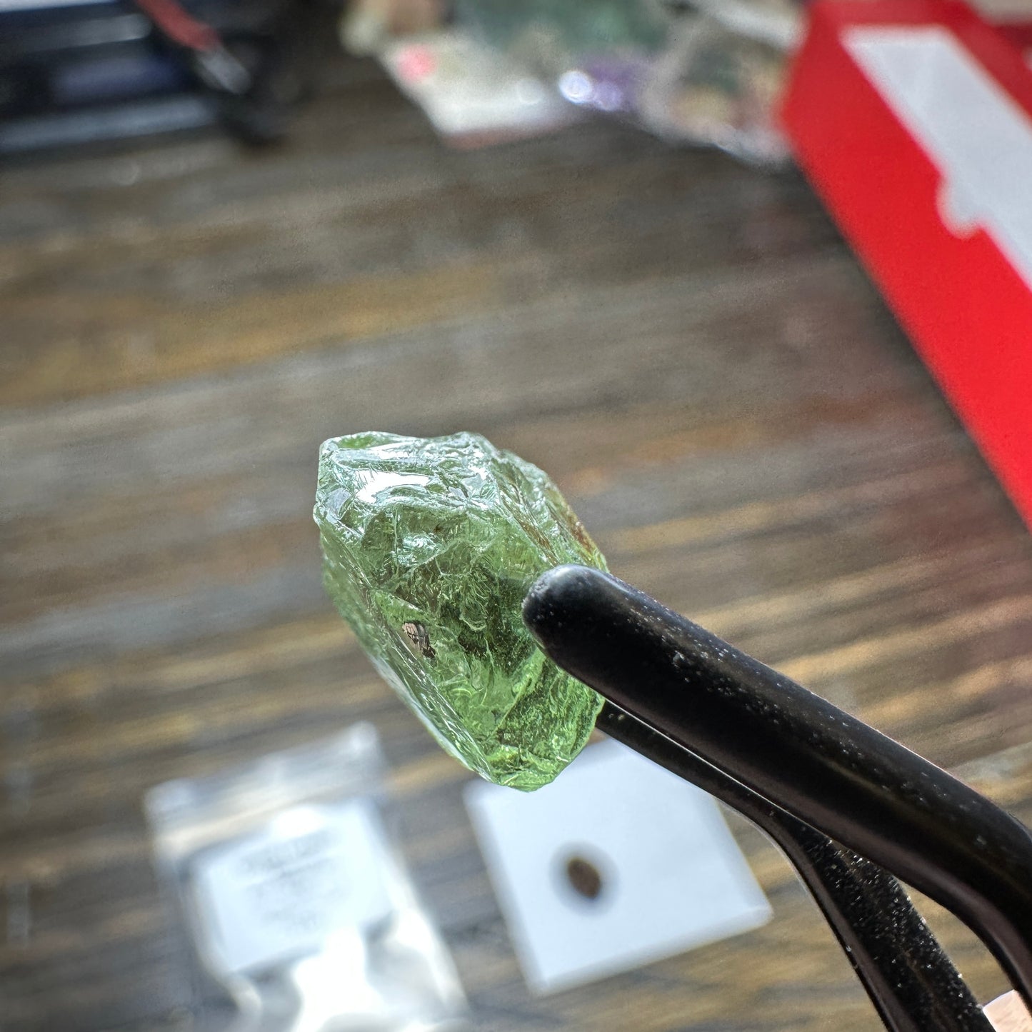 10.0ct GREEN DRAGON GARNET Facet Rough