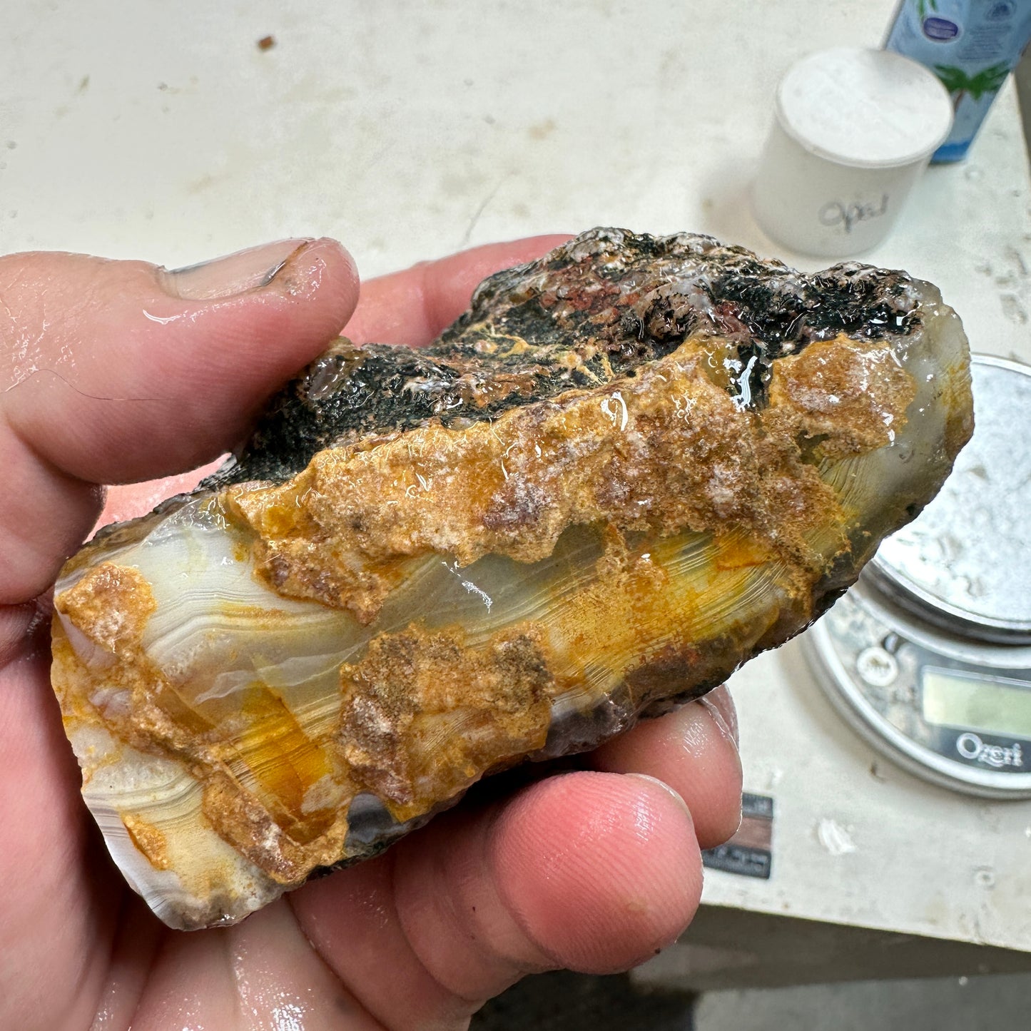 MOROCCAN AGATE Rough - 1.11 Pounds