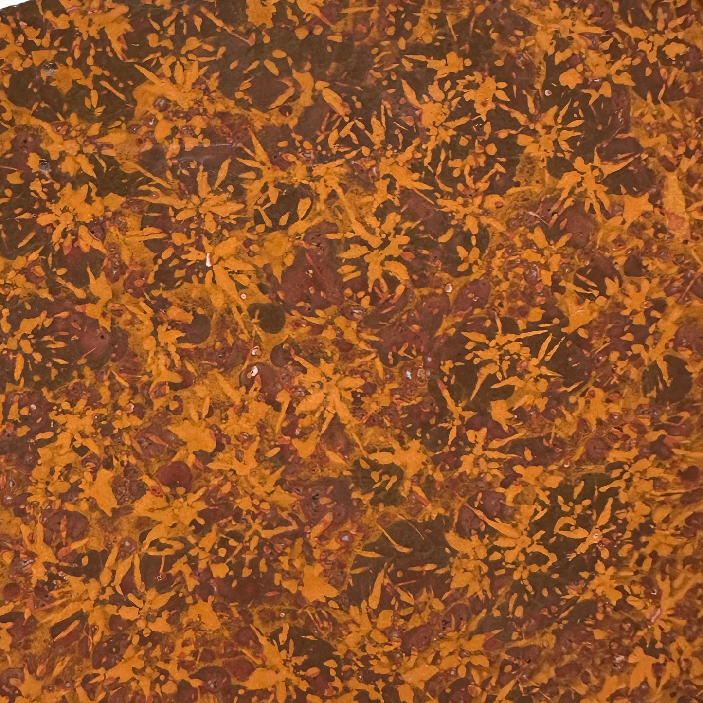 STARBURST RHYOLITE Slab - 260 grams