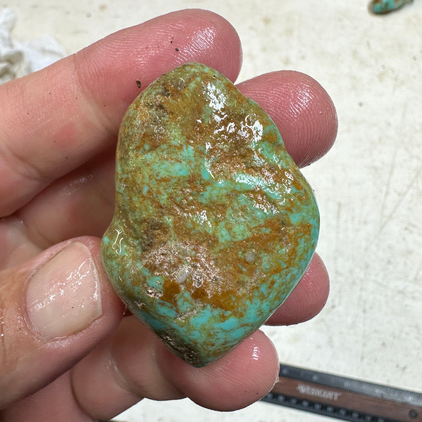 RISING PHOENIX Turquoise rough - 37.3 grams