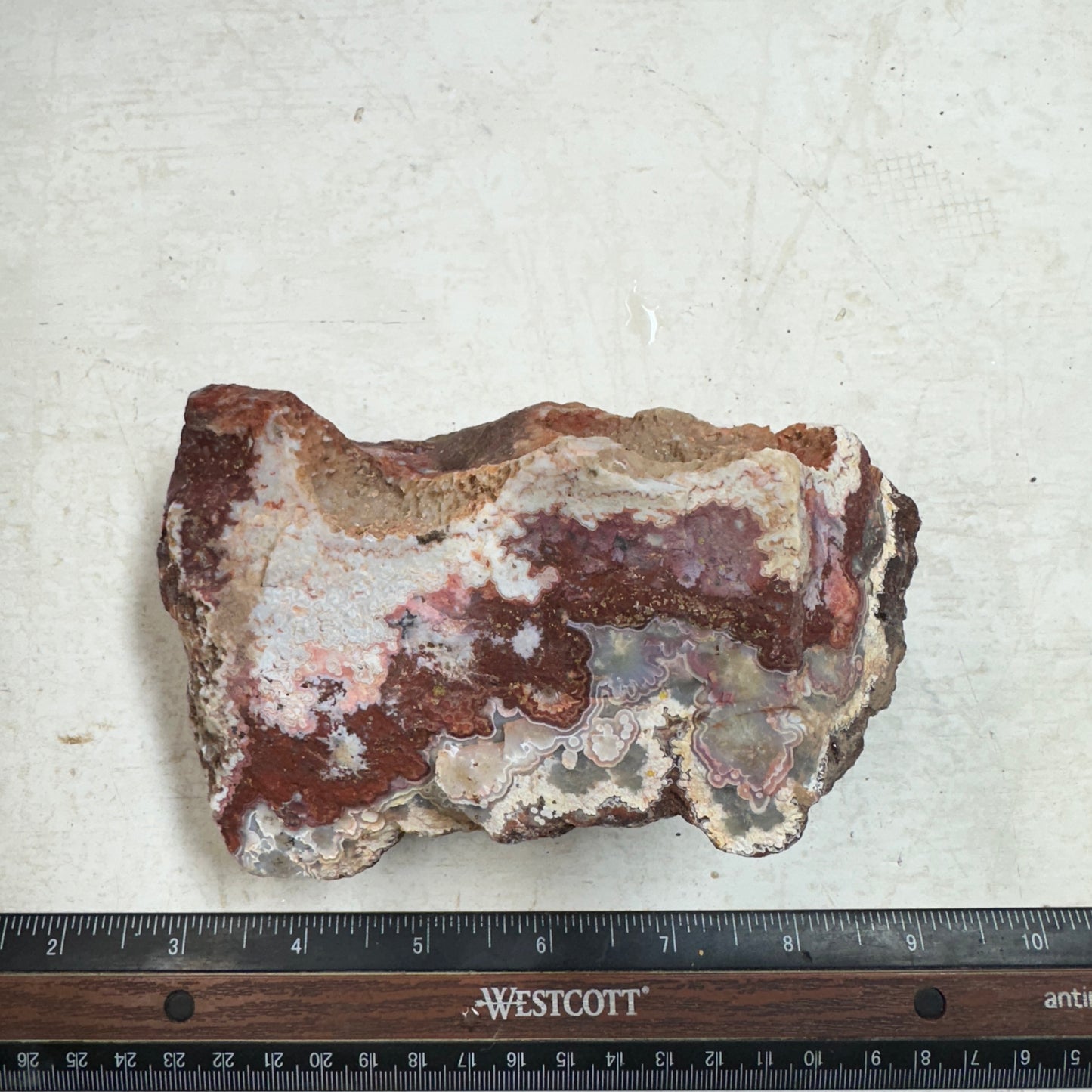 CRAZY LACE AGATE Rough - 1.76 Pounds