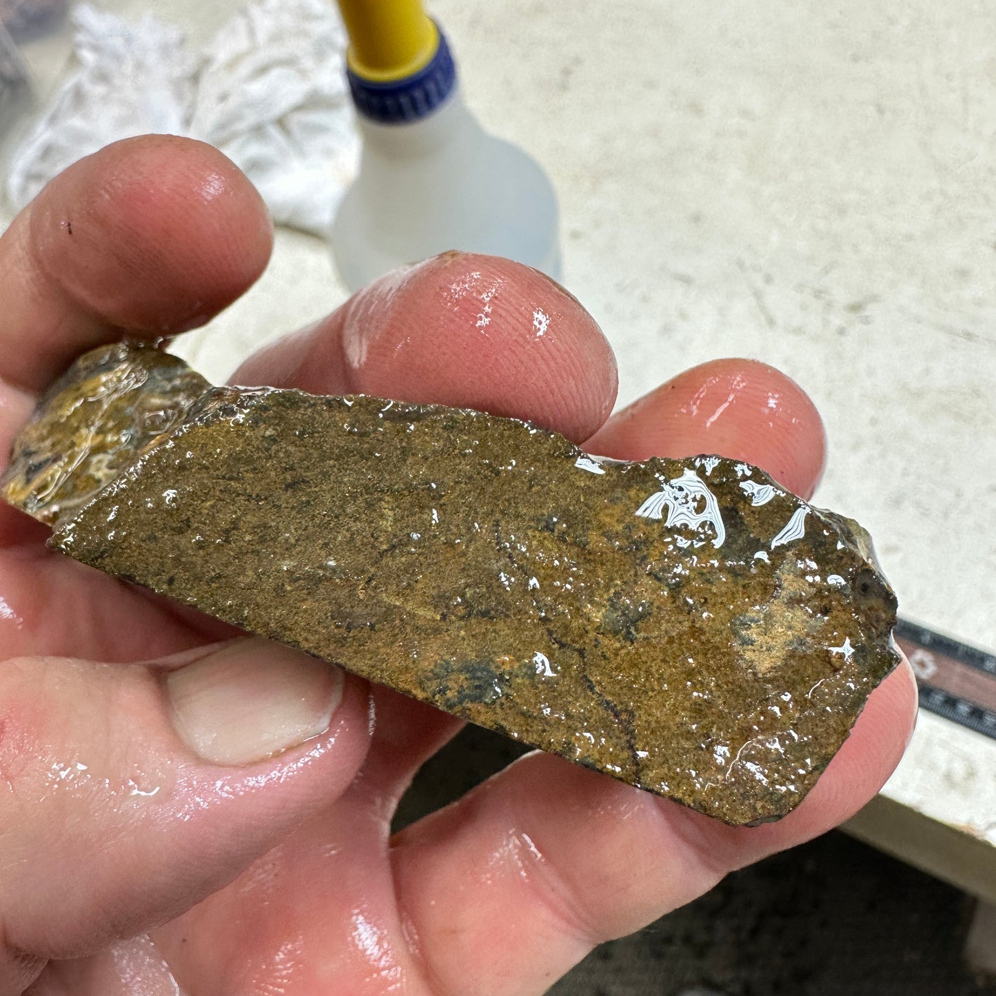 IDAHO WILDFIRE PLUME AGATE Faced Rough - 3.48oz