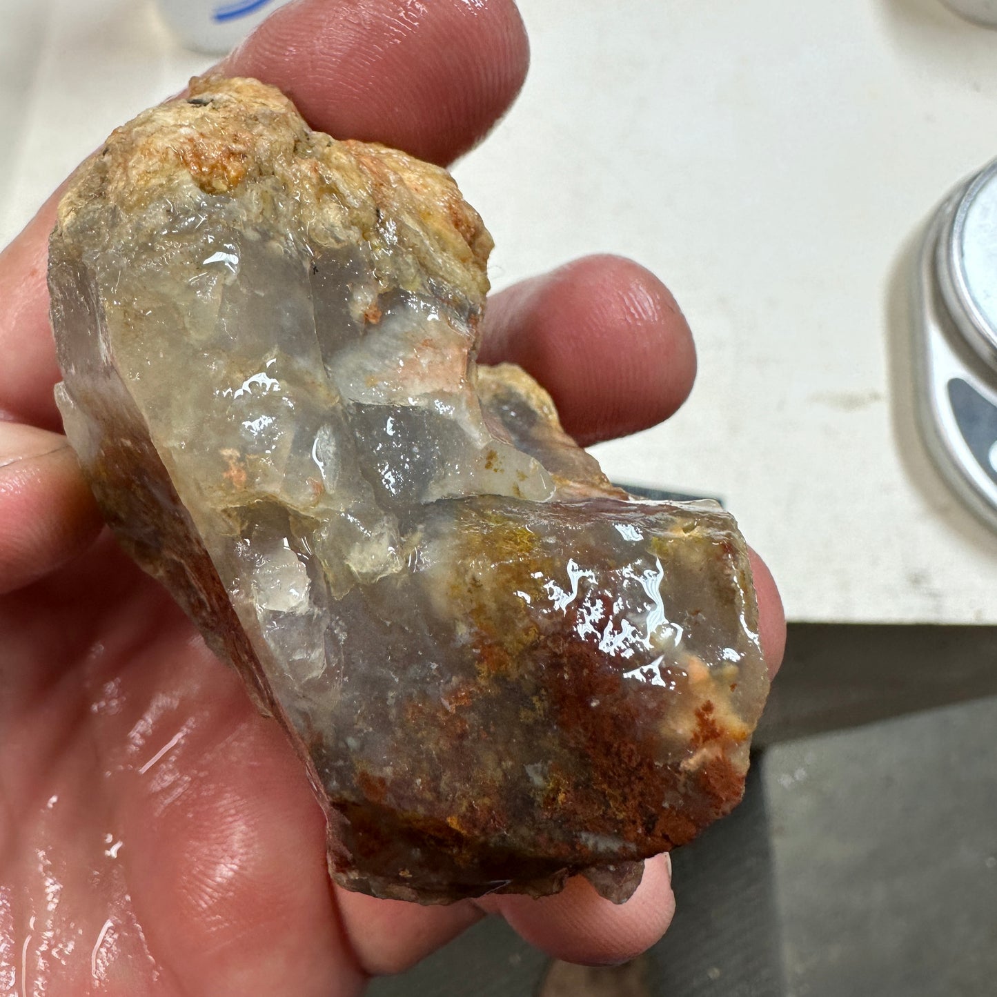 CAREY PLUME AGATE Rough - 0.49 Pounds