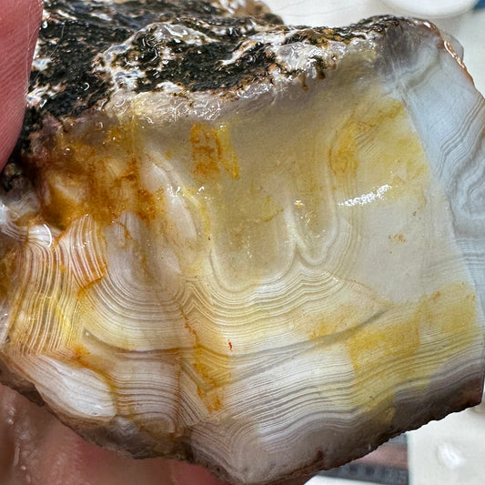 MOROCCAN AGATE Rough - 1.11 Pounds