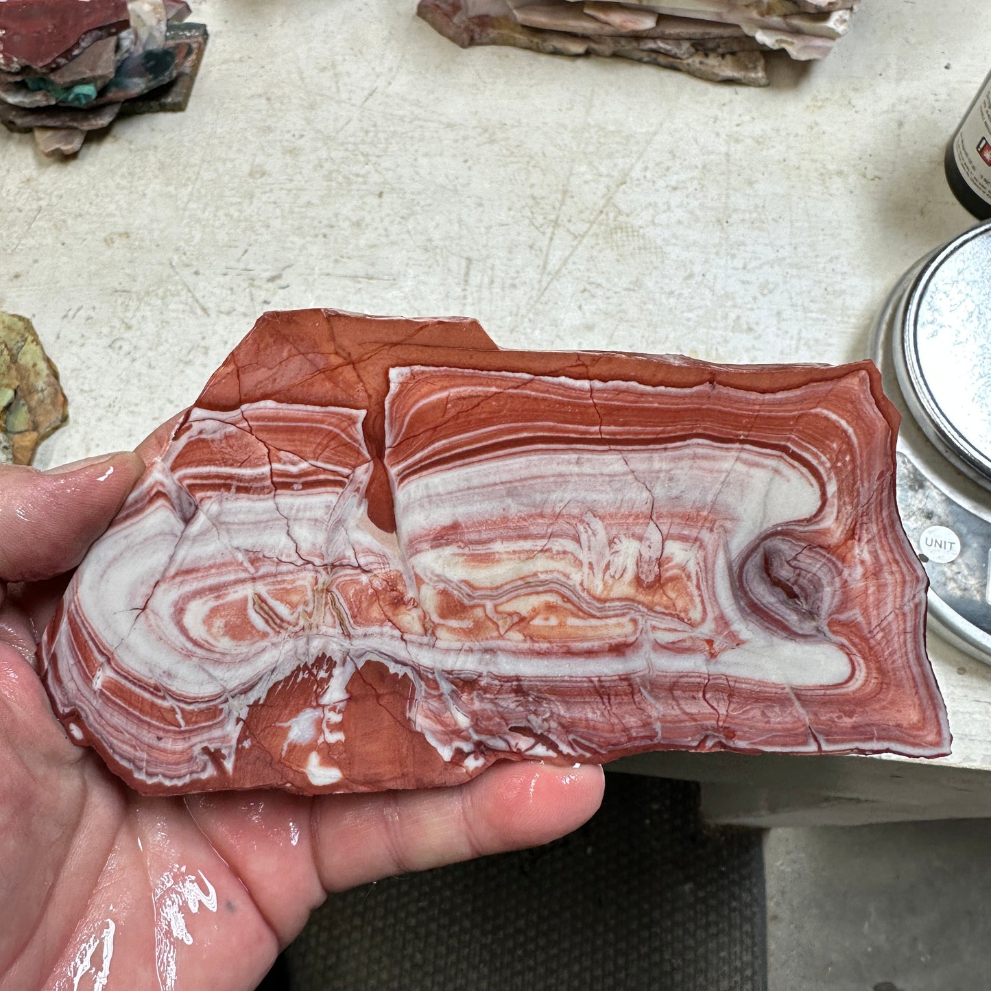 WINDY MOUNTAIN JASPER Slab - 205 grams