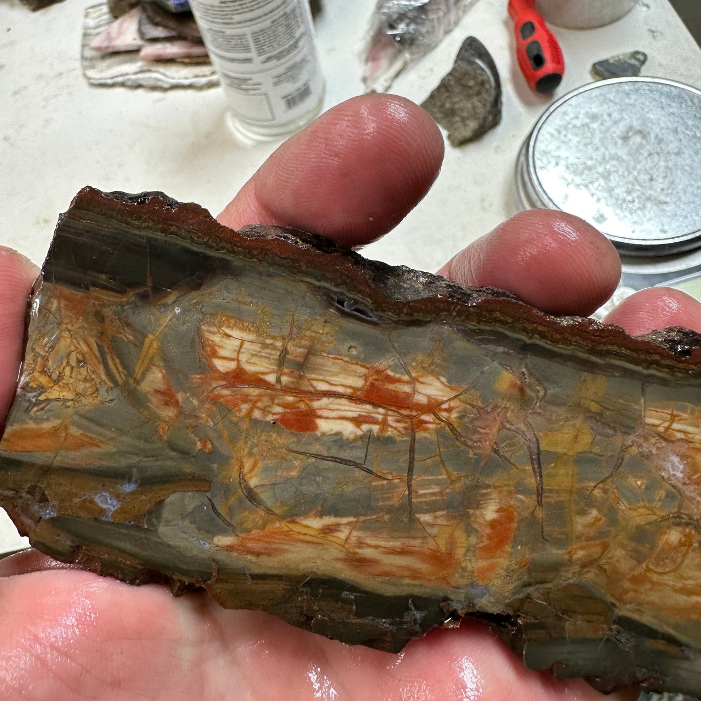 DRY CREEK JASPER Slab - 204 grams