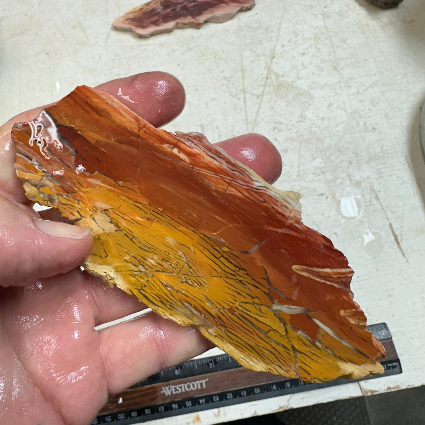SUNSET HOWARDITE Slab - 68 grams