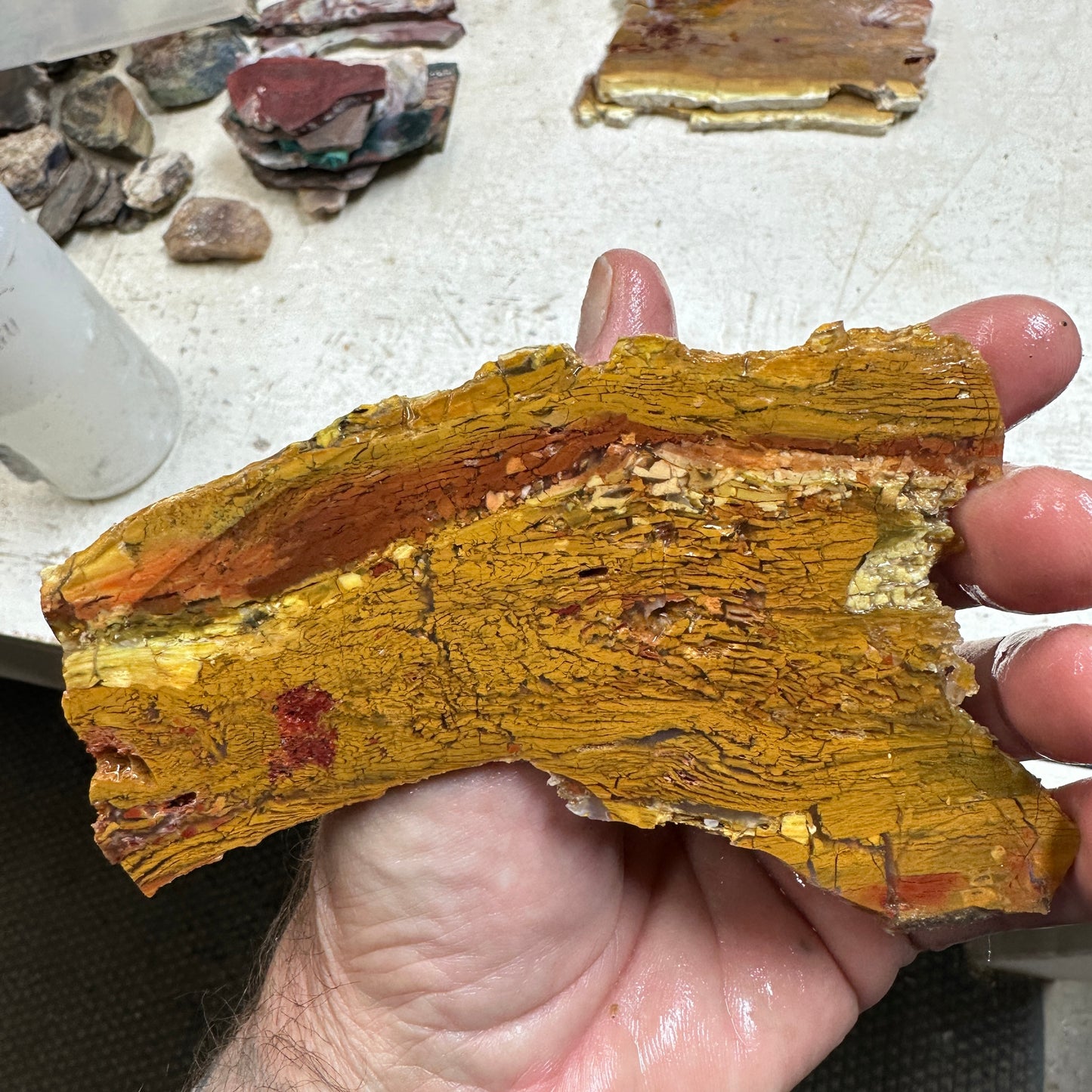 HOWARDITE Slab - 123 grams