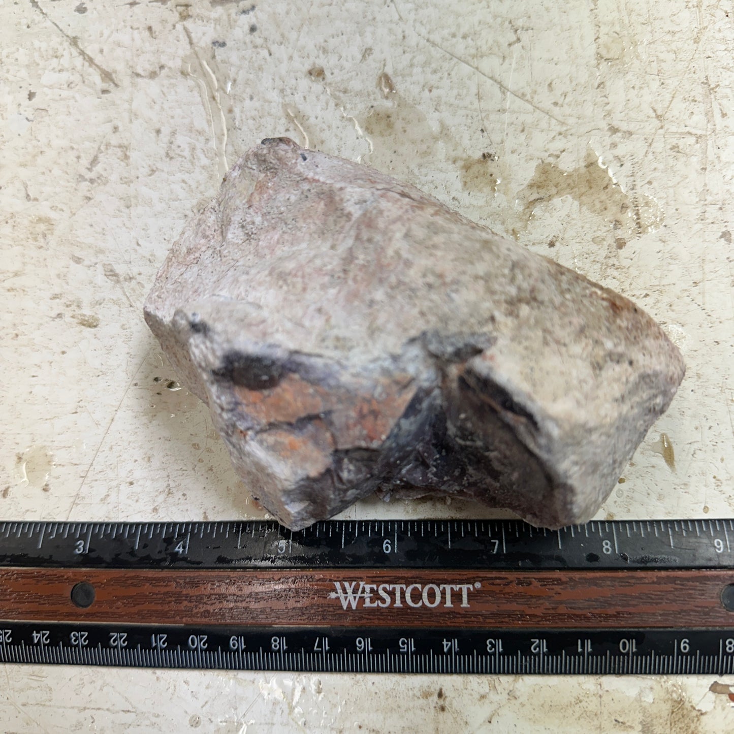 TIFFANY STONE Rough - 1.21 Pounds