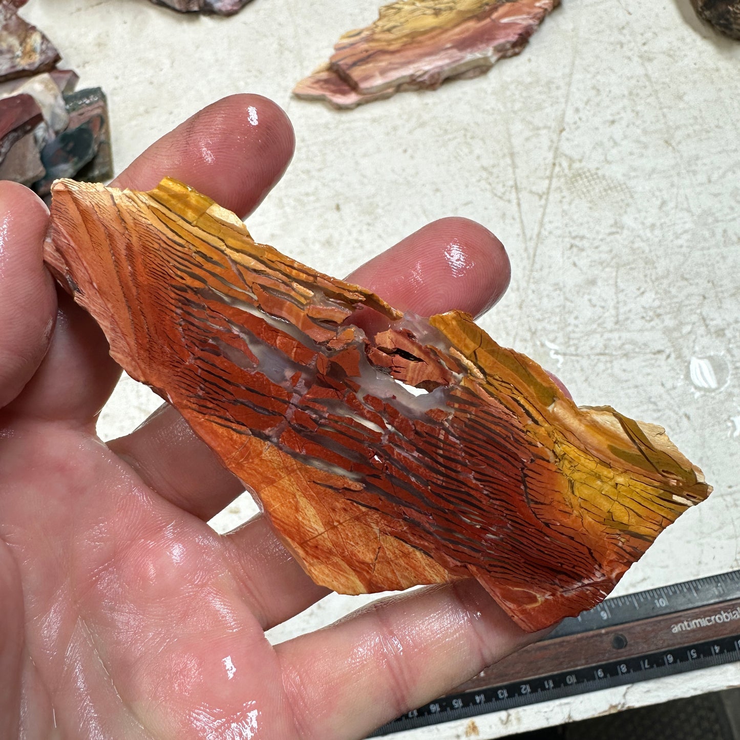 SUNSET HOWARDITE Slab - 56 grams