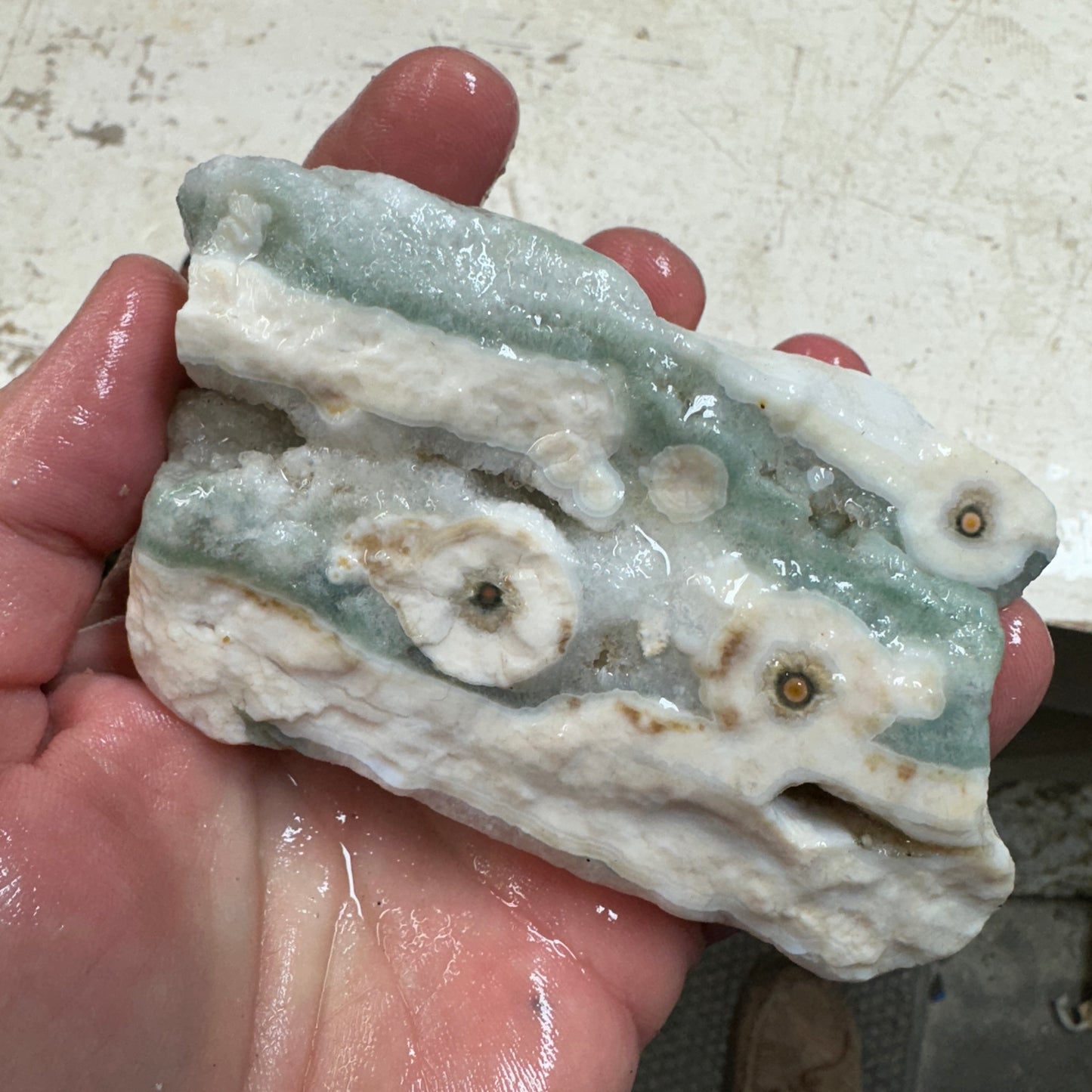 OCEAN JASPER Rough - 0.91 Pounds