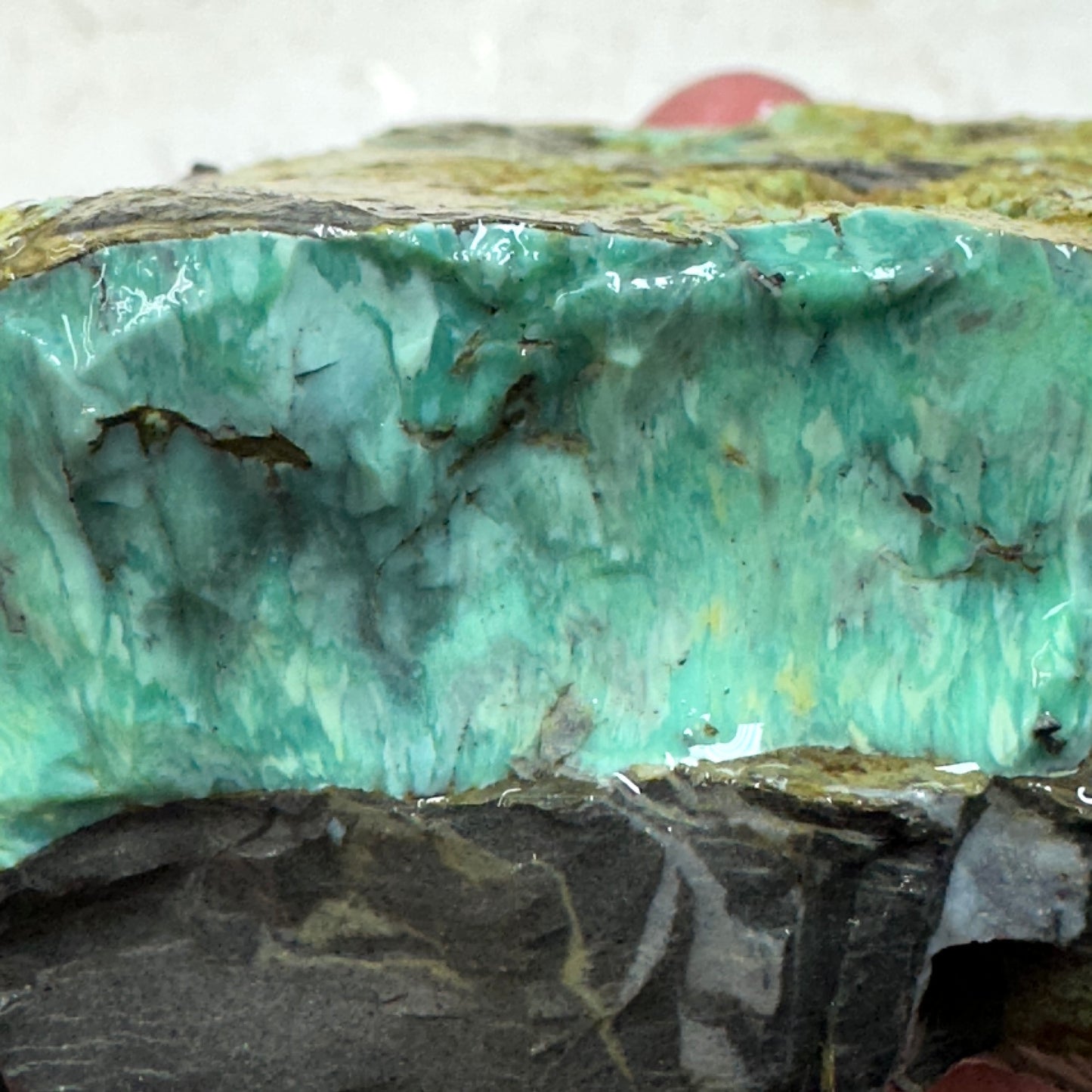 BROKEN ARROW VARISCITE Rough - 438 grams
