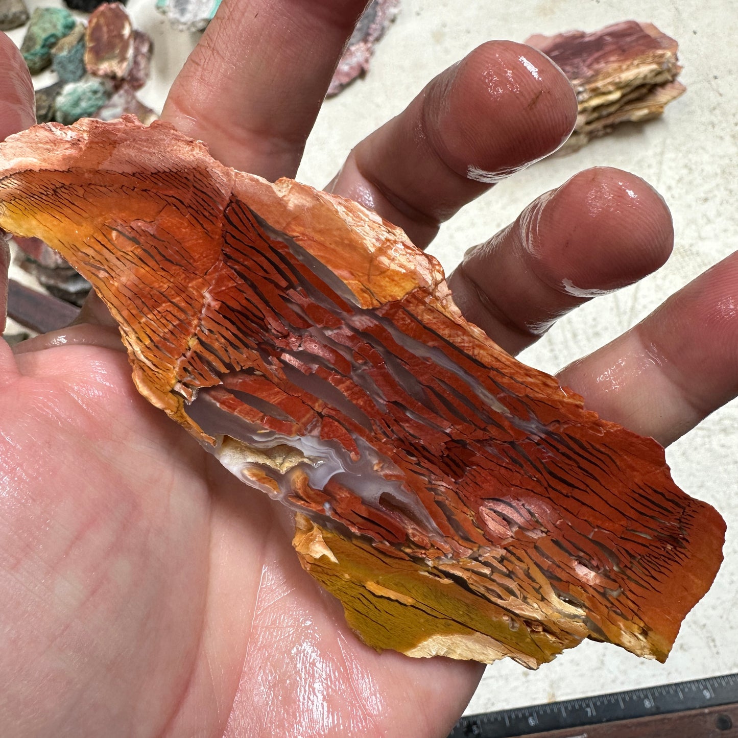 SUNSET HOWARDITE Slab - 63 grams