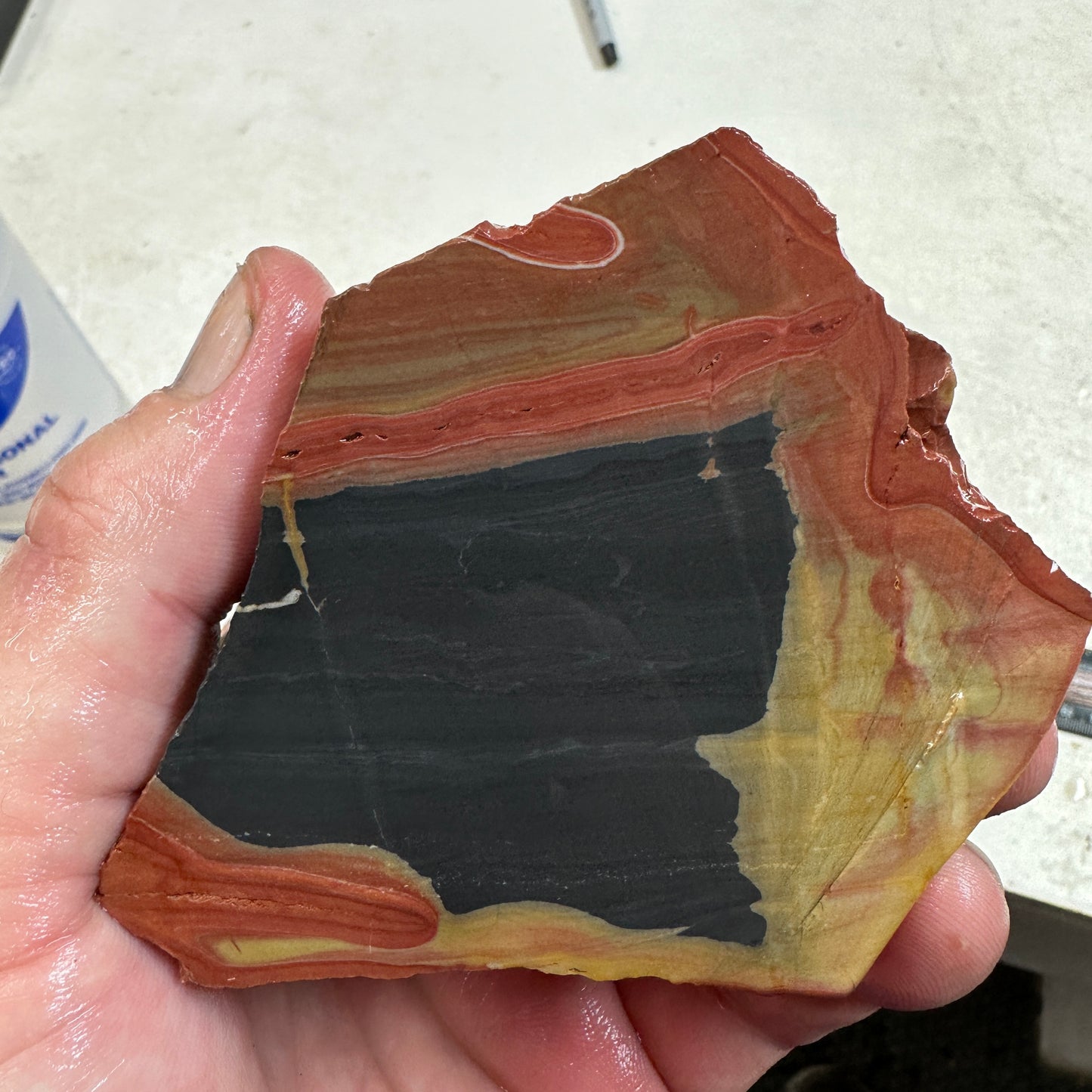 WINDY MOUNTAIN JASPER Faced Rough - 1.58 Pounds