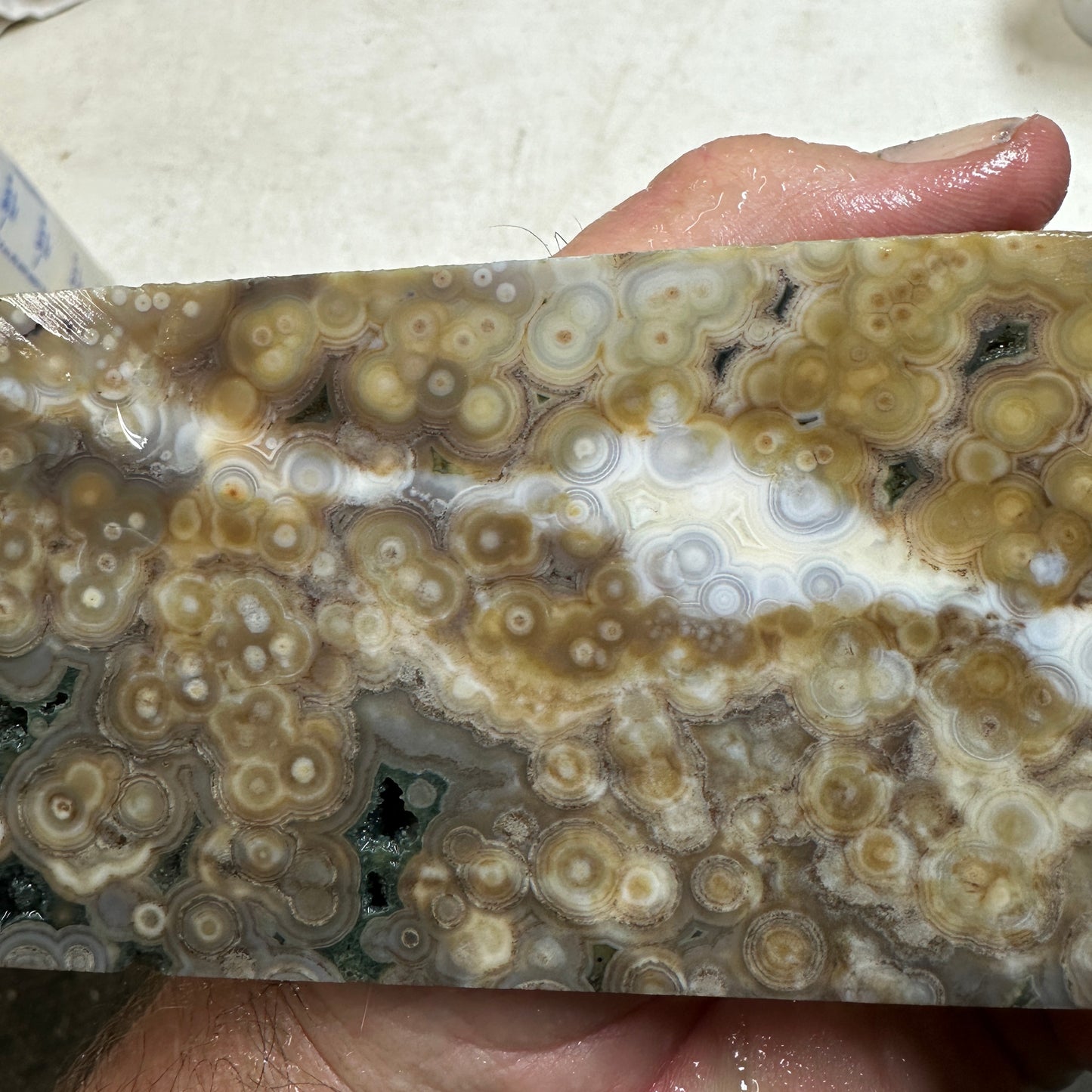 OCEAN JASPER Slab - 206 grams