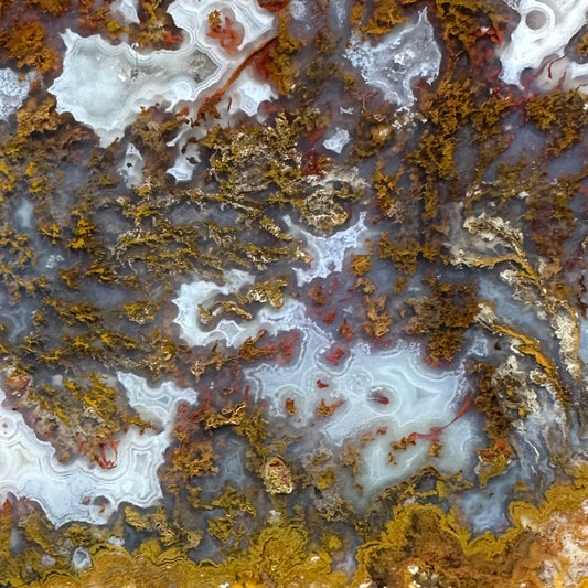 MEXICAN MOSS AGATE Slab - 163 grams
