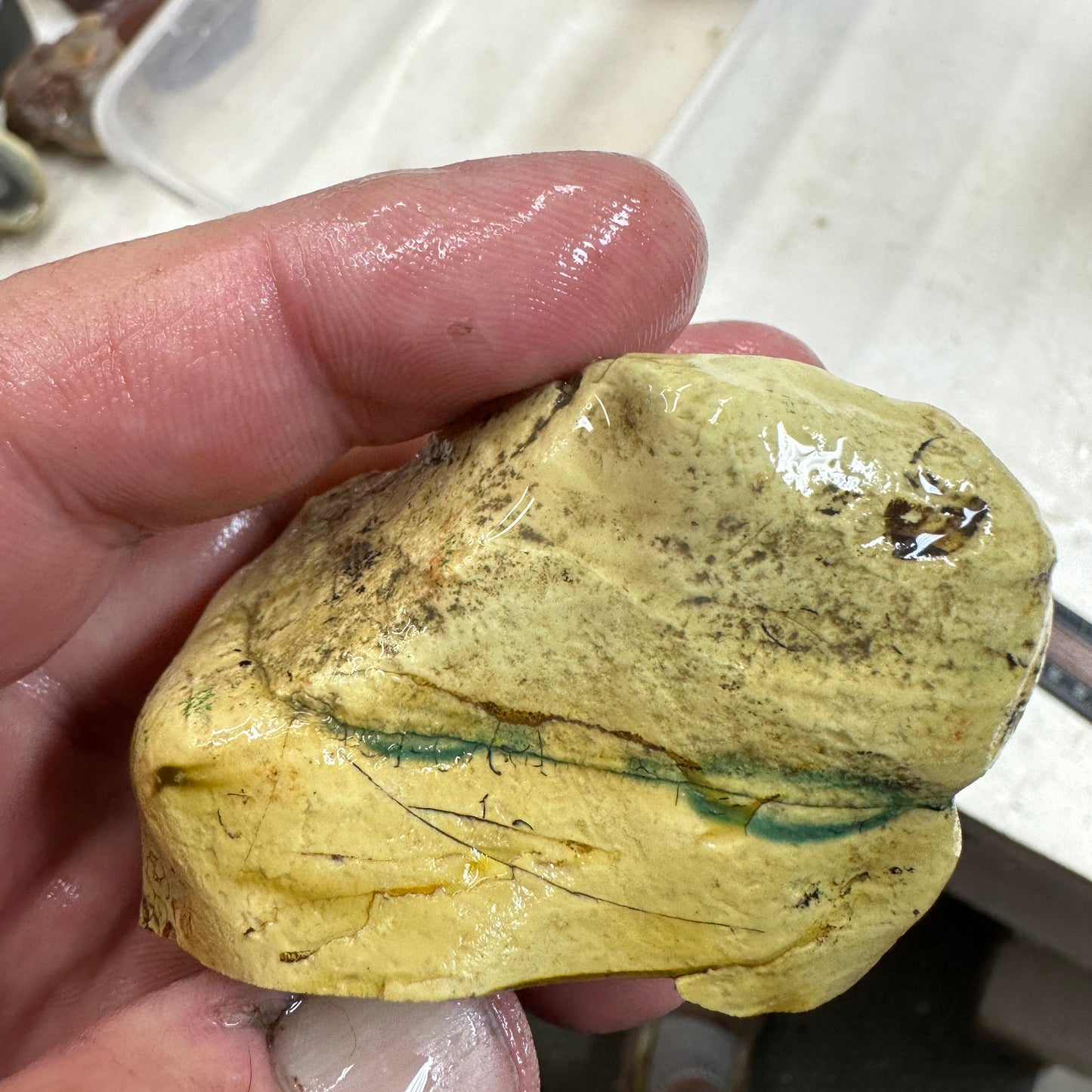 ROYAL IMPERIAL JASPER Faced Rough - 0.35 Pounds