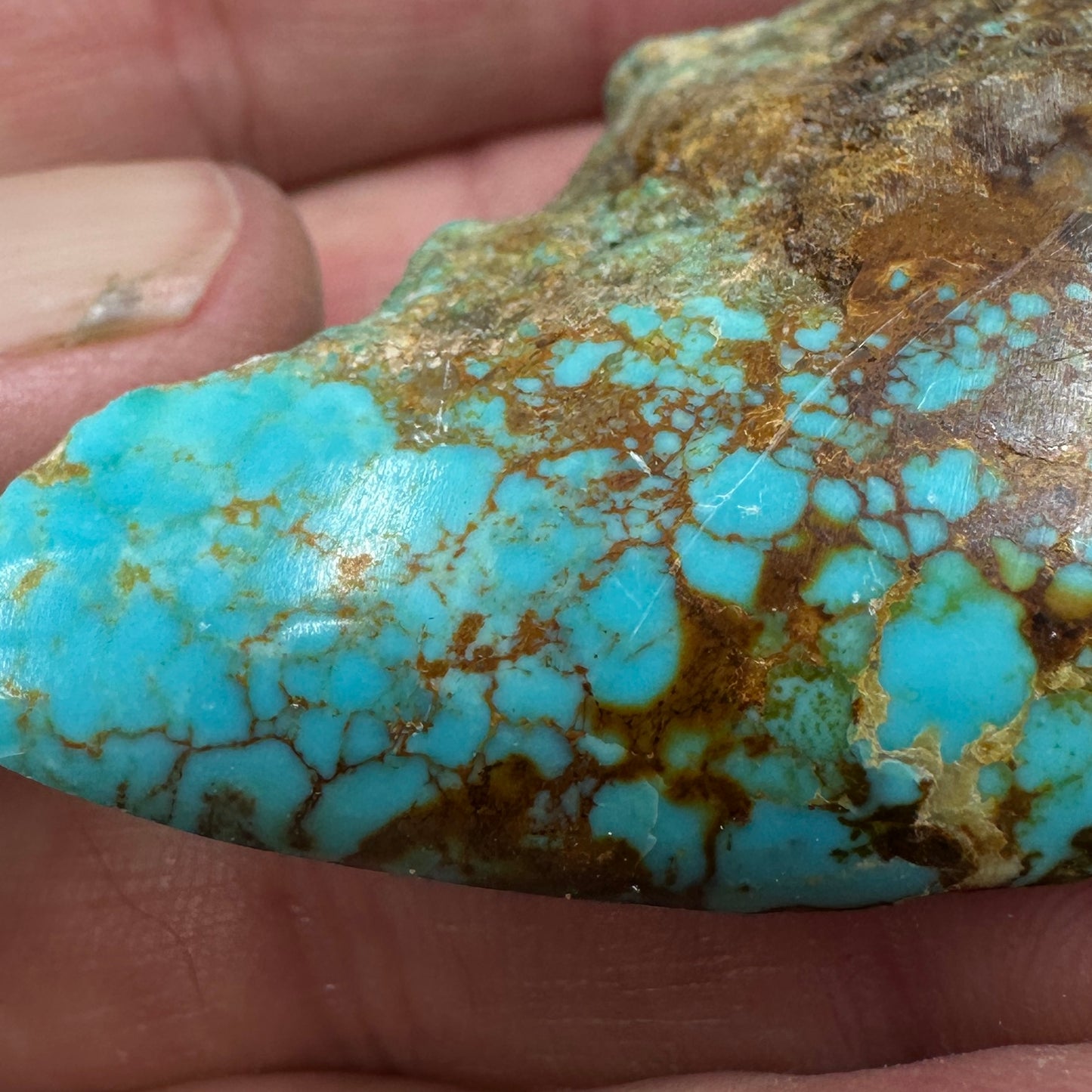 RISING PHOENIX Turquoise rough - 46 grams