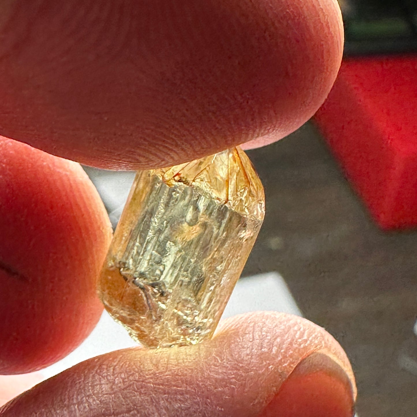 9.8ct YELLOW APATITE Facet Rough