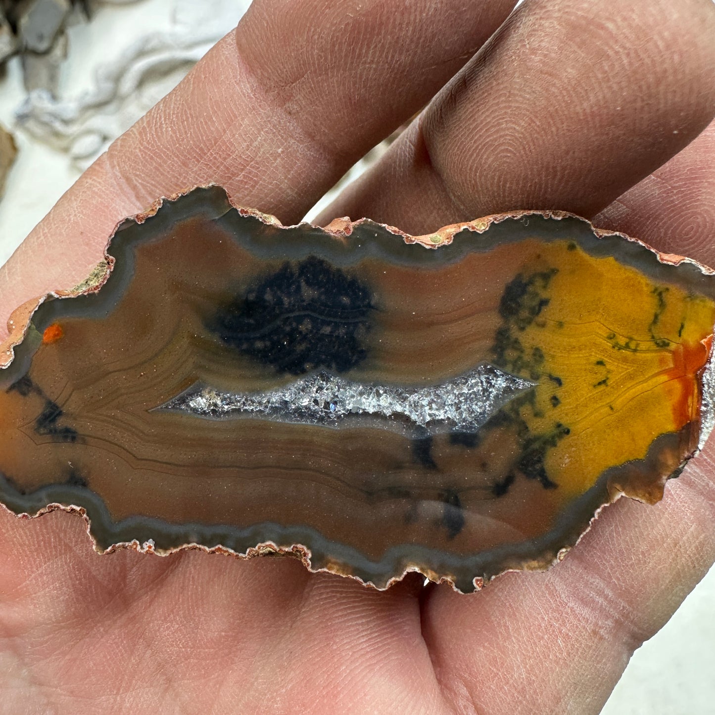 CONDOR AGATE Polished Specimen