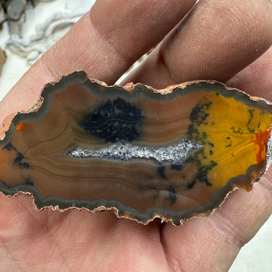 CONDOR AGATE Polished Specimen