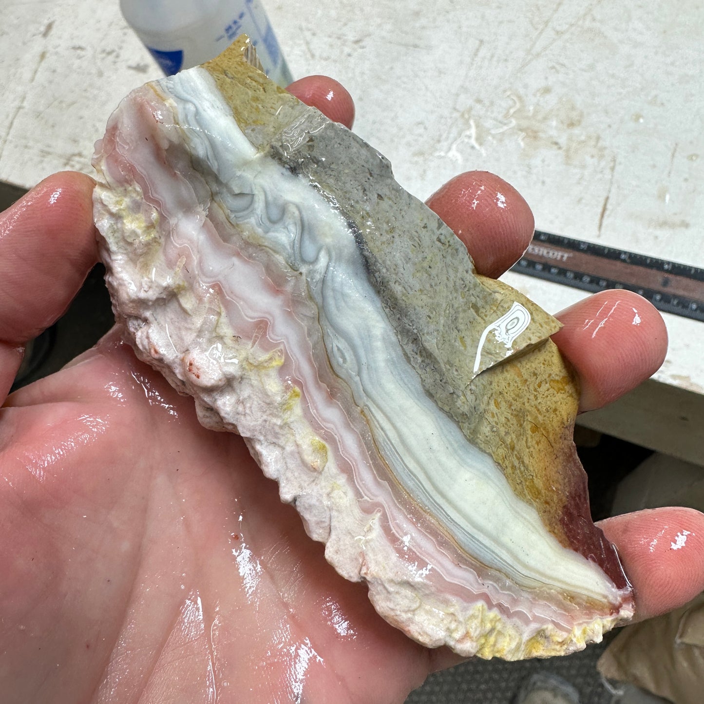 WINDY MOUNTAIN AGATE Rough - 0.72 Pounds