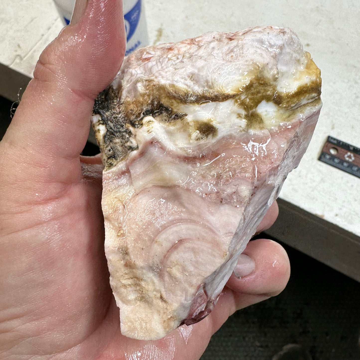 WINDY MOUNTAIN AGATE Rough - 1.63 Pounds