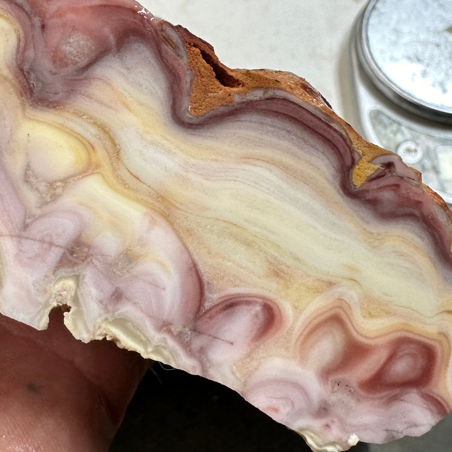 WINDY MOUNTAIN AGATE Faced Rough - 1.72 Pounds