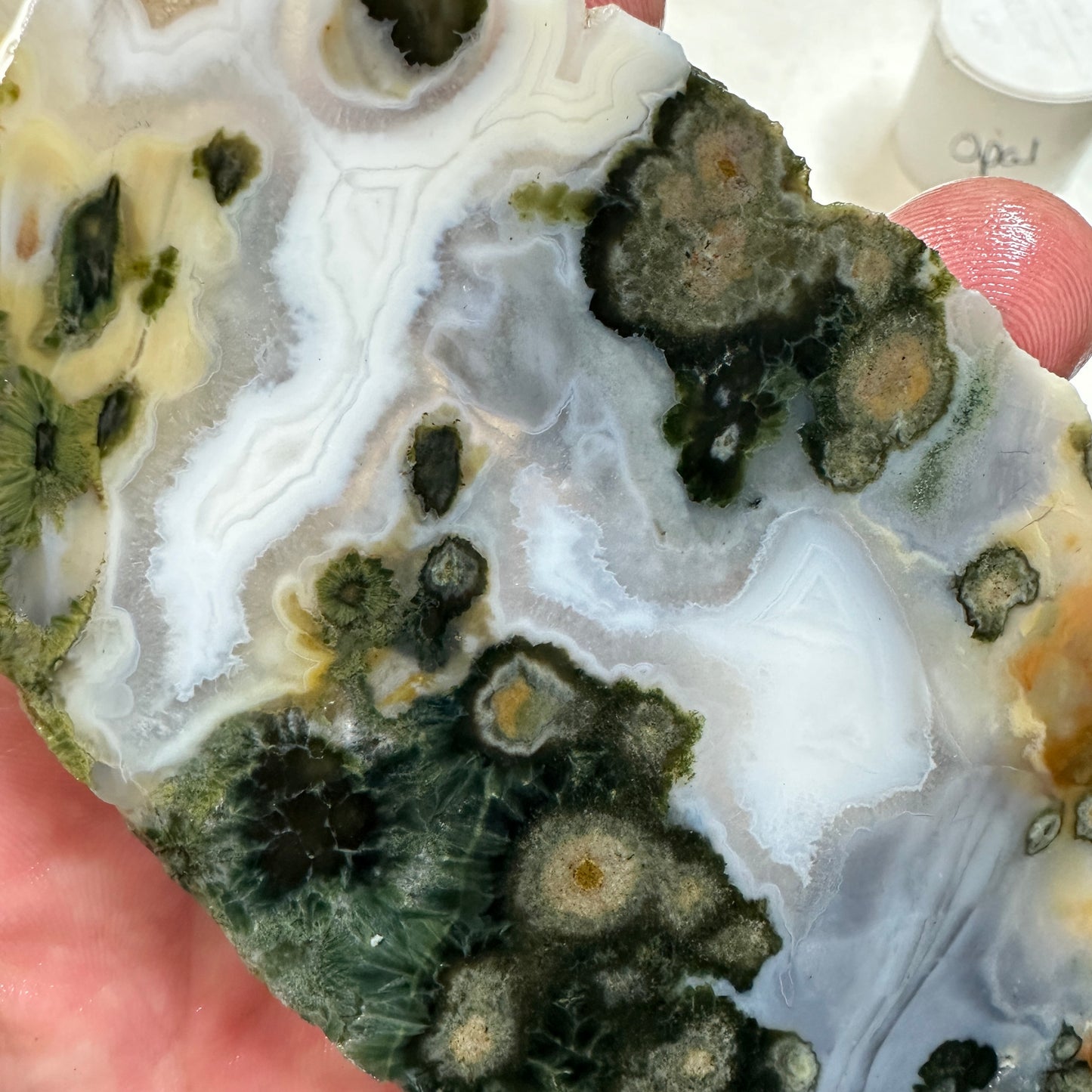 OCEAN JASPER Slab - 127 grams