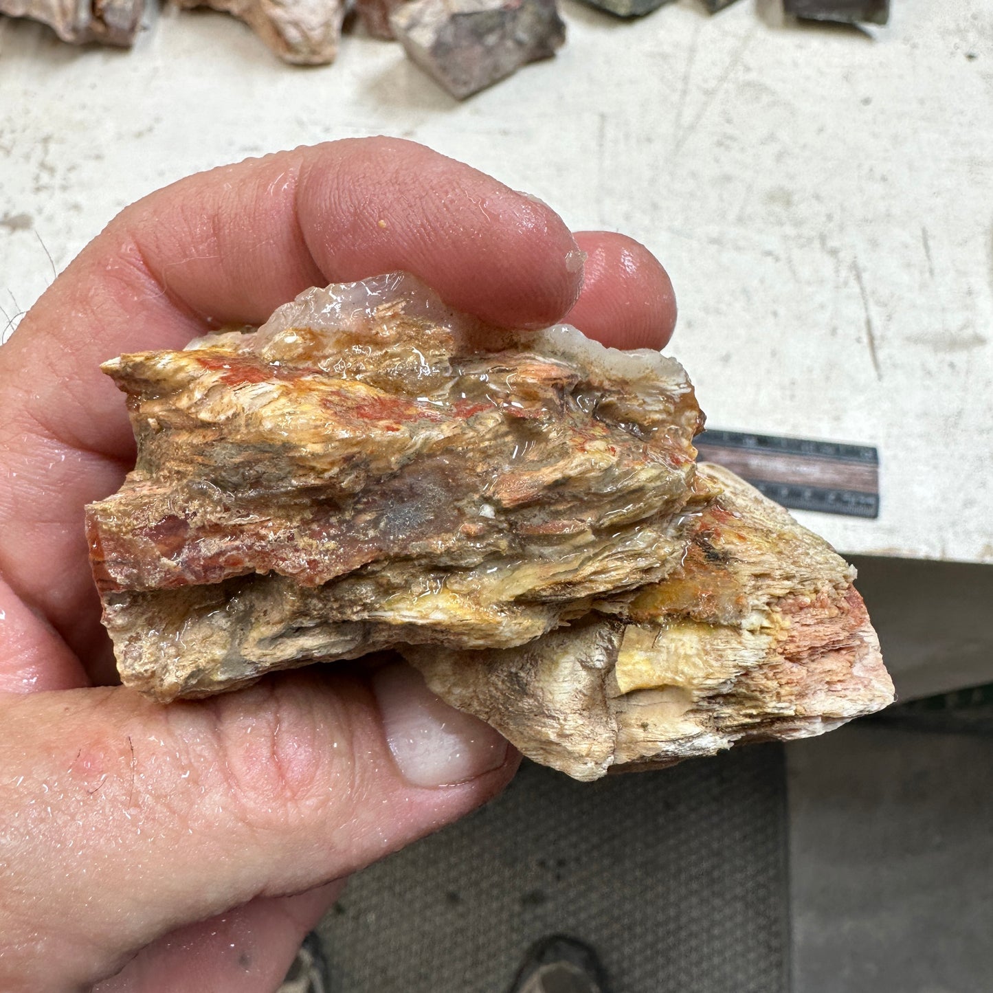 Sunset HOWARDITE Faced Rough - 0.51 pounds