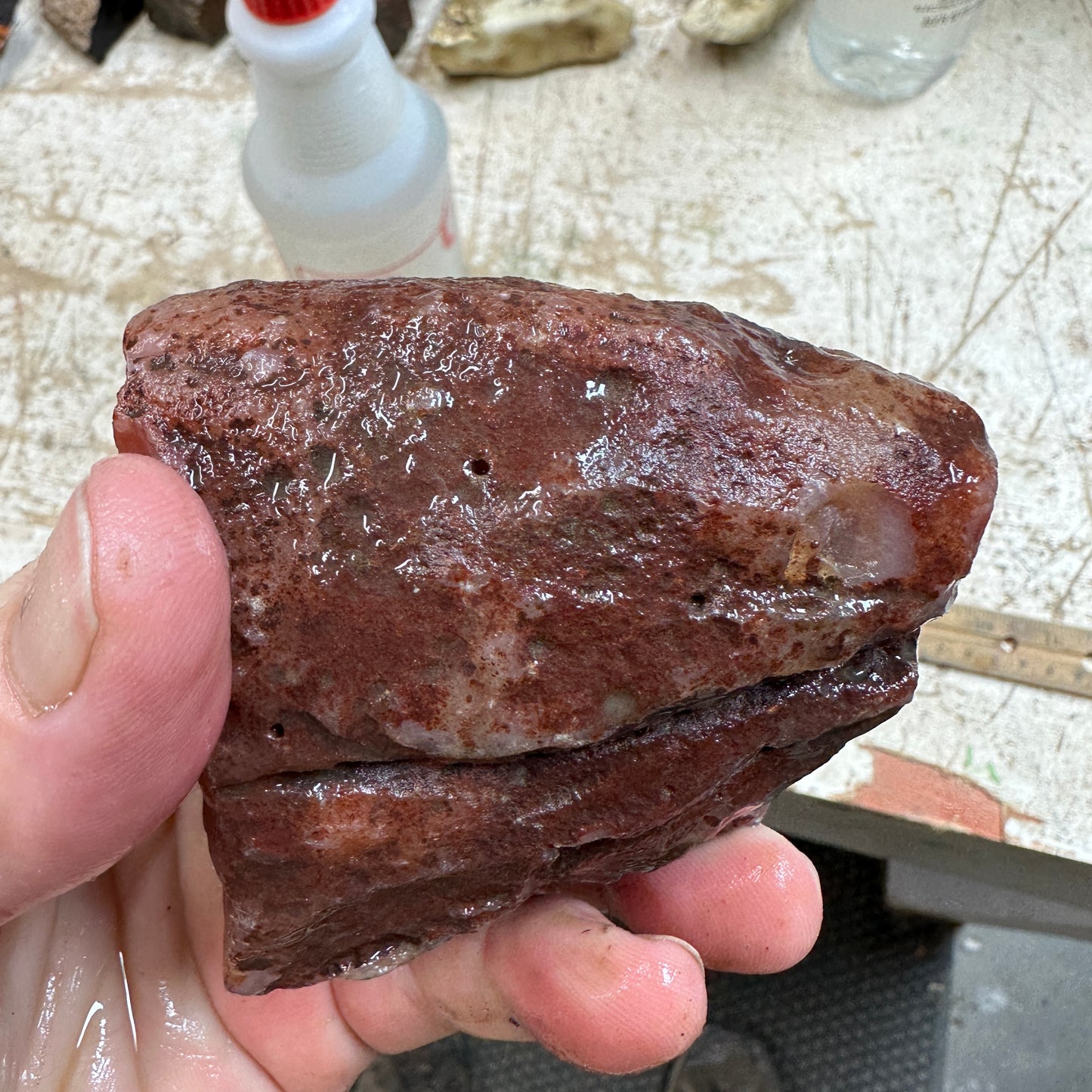 SWAZI ROSE AGATE Rough - 1.31 Pounds