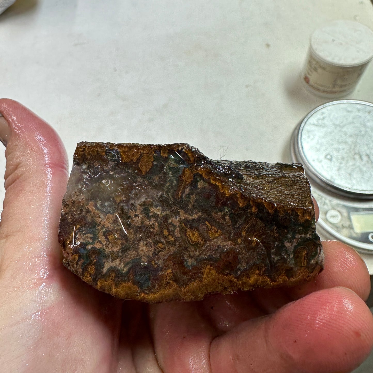 MOROCCAN SEAM AGATE Rough - 10.7ozs