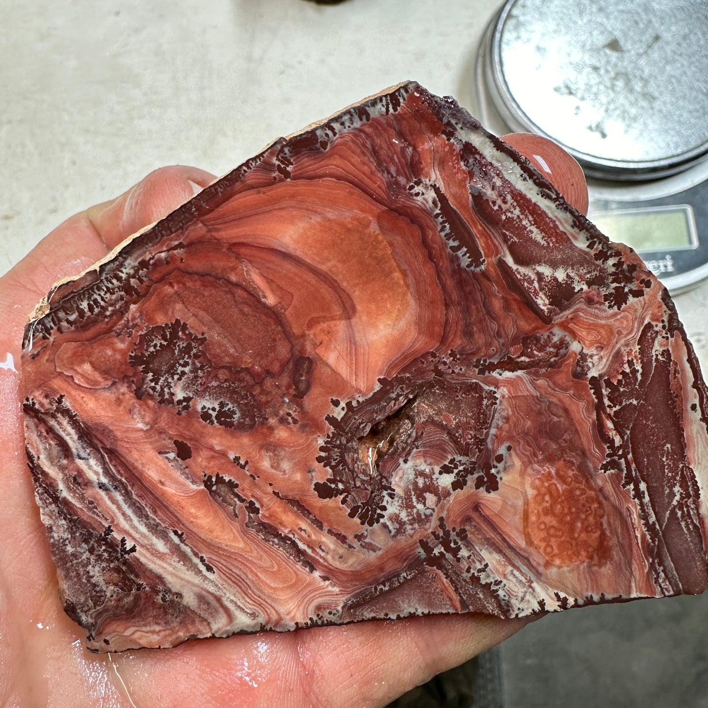 APACHE RHYOLITE Slab - 88 grams